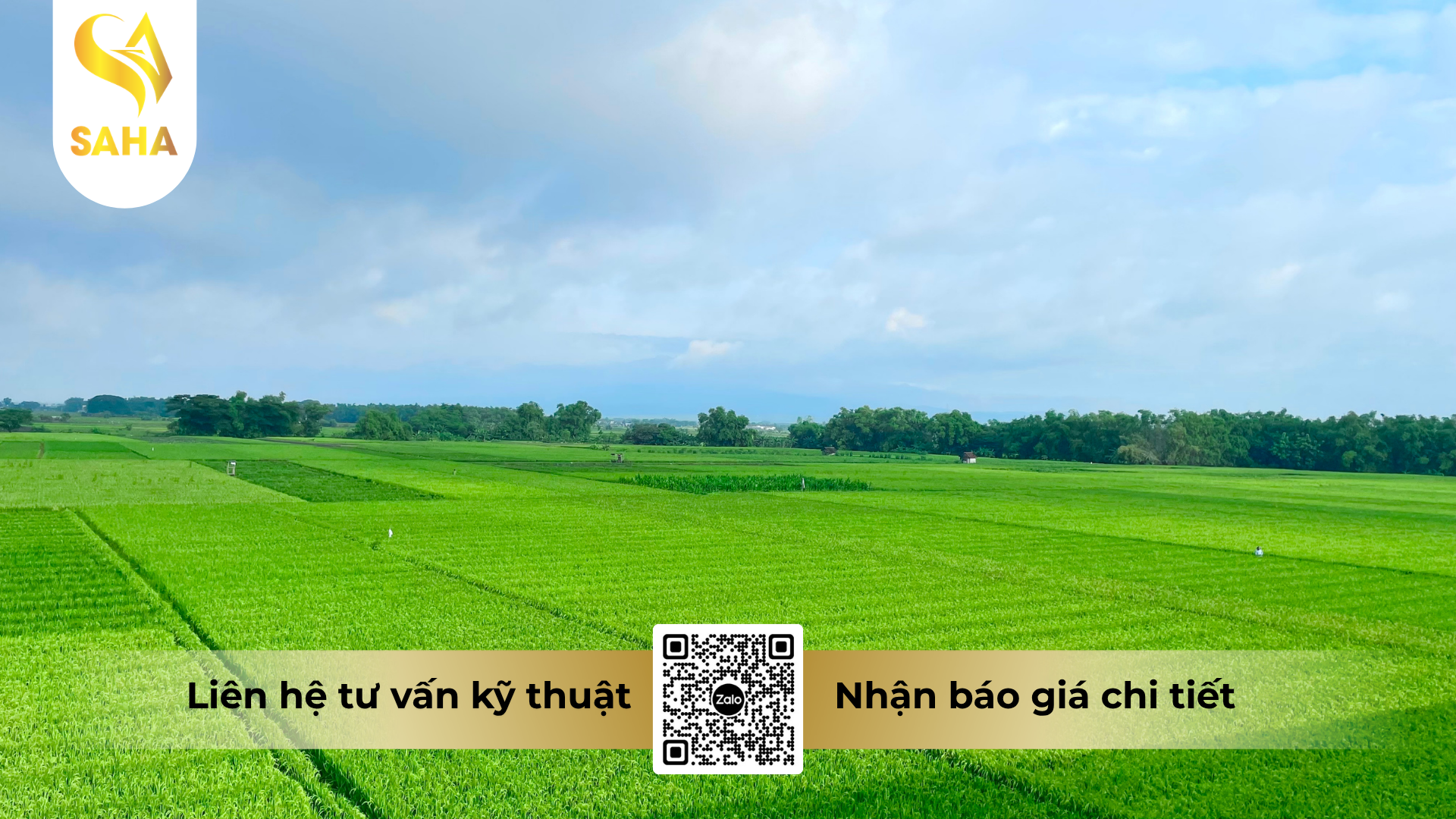 cau-hoi-thuong-gap-ve-thuoc-tru-benh-forthane-80wp-mancozeb-80.png