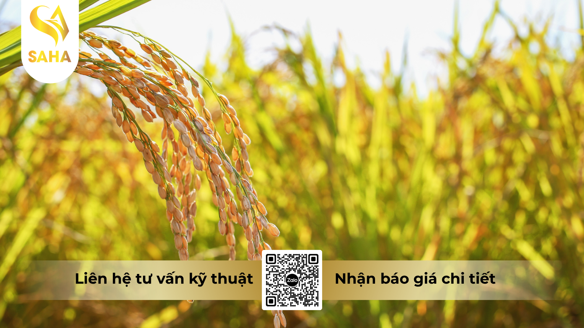 cau-hoi-thuong-gap-ve-thuoc-tru-benh-javizole-777wp-hieu-bumsuper-777.png