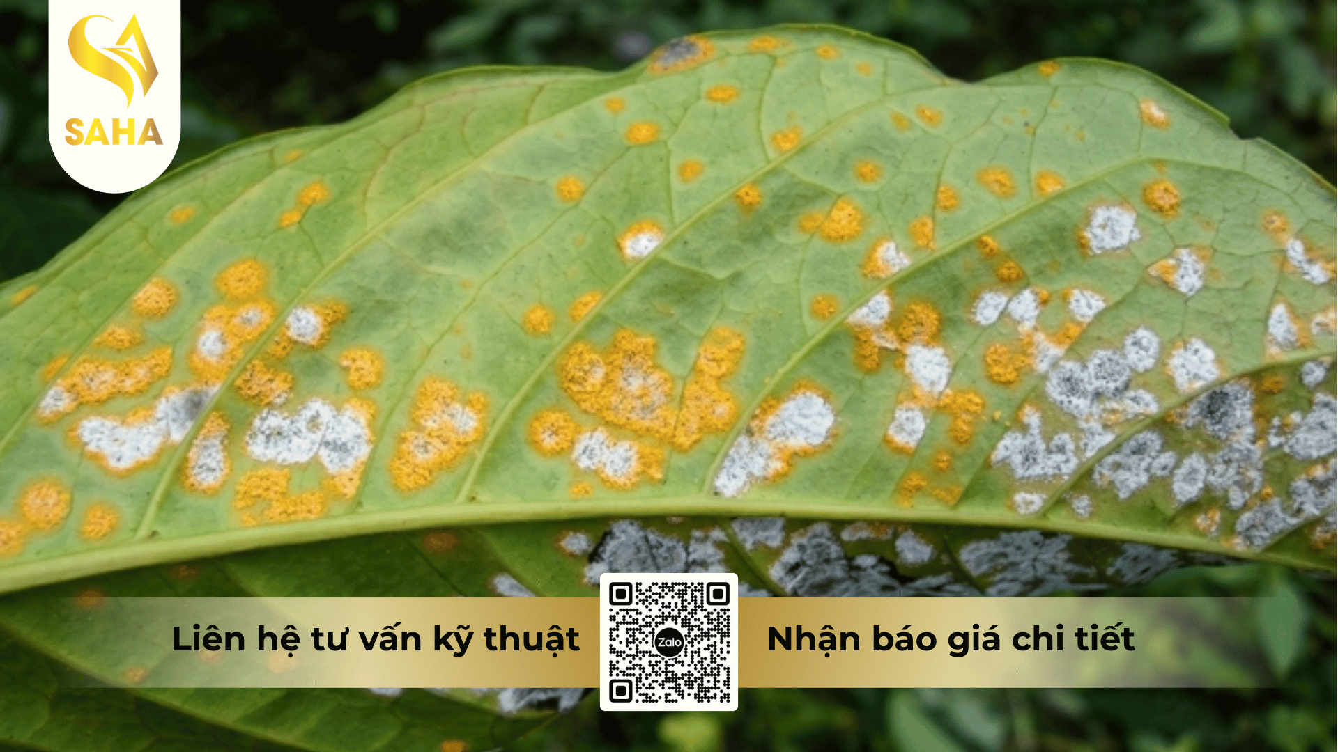 cong-dung-phan-bon-huu-co-at-trichoderma-10-hieu-trichoderma-happyagri.png