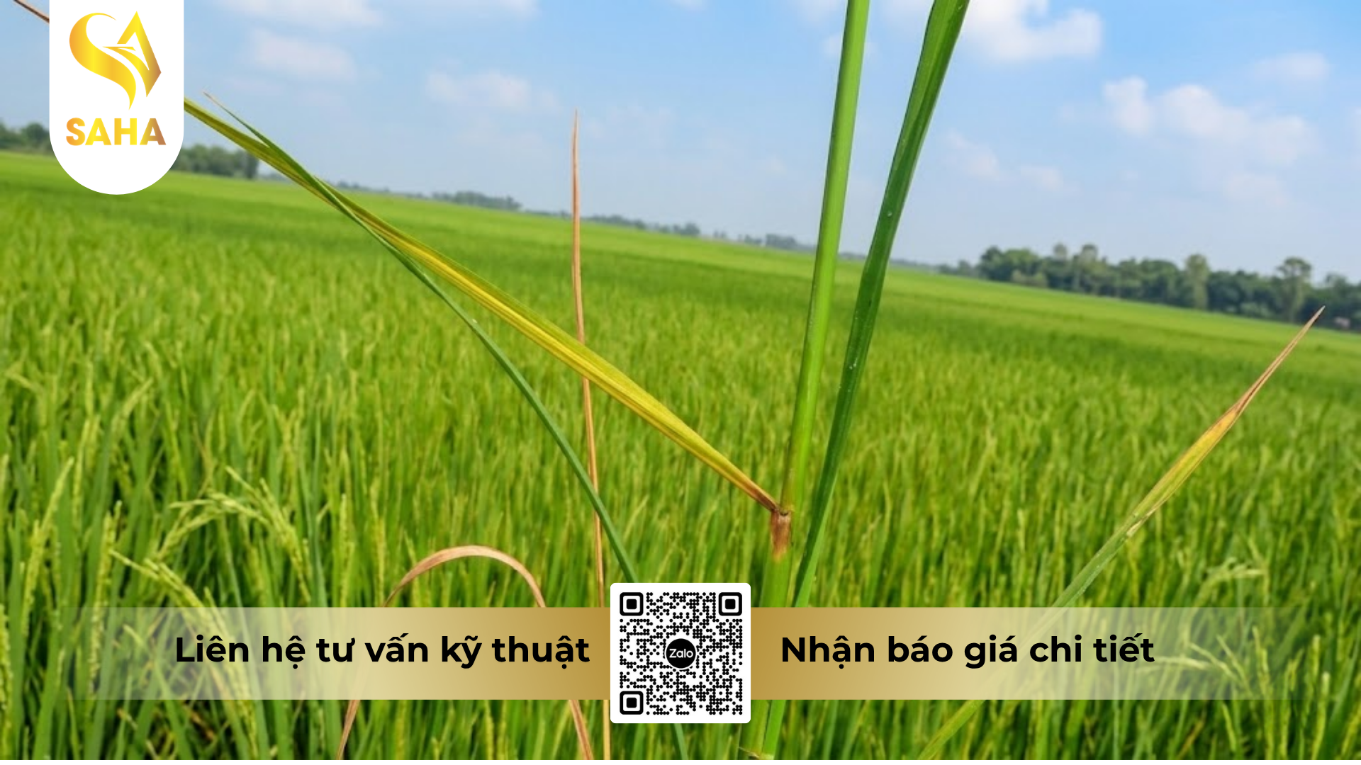 cong-dung-cua-thuoc-tru-benh-kabum-650wp.png