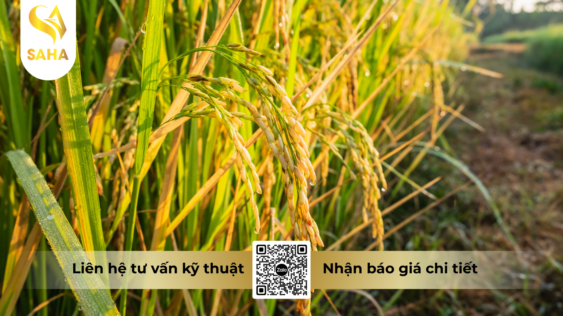 cau-hoi-thuong-gap-ve-thuoc-tru-benh-kabum-650wp.png