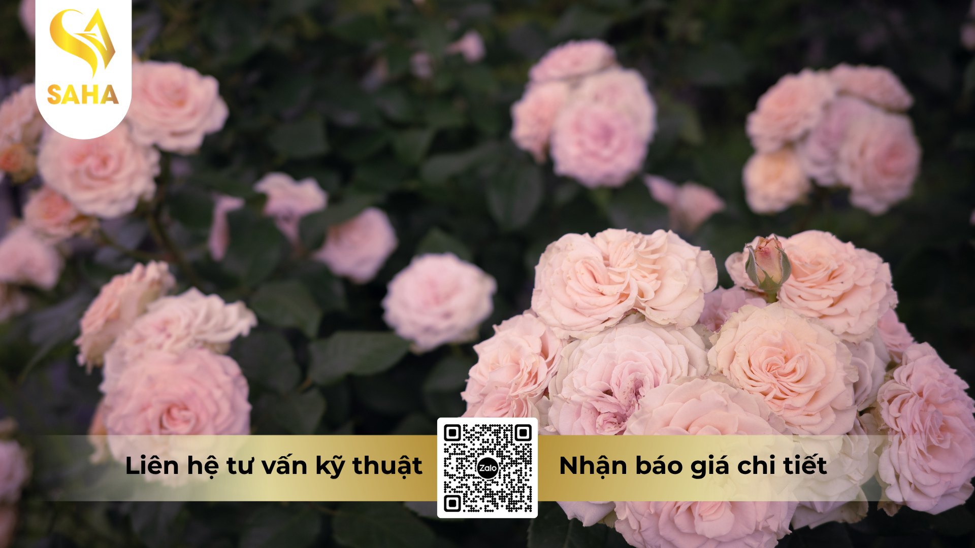 cau-hoi-thuong-gap-ve-phải là thuoc-tru-benh-kanras-72wp-hieu-m8-xanh.png