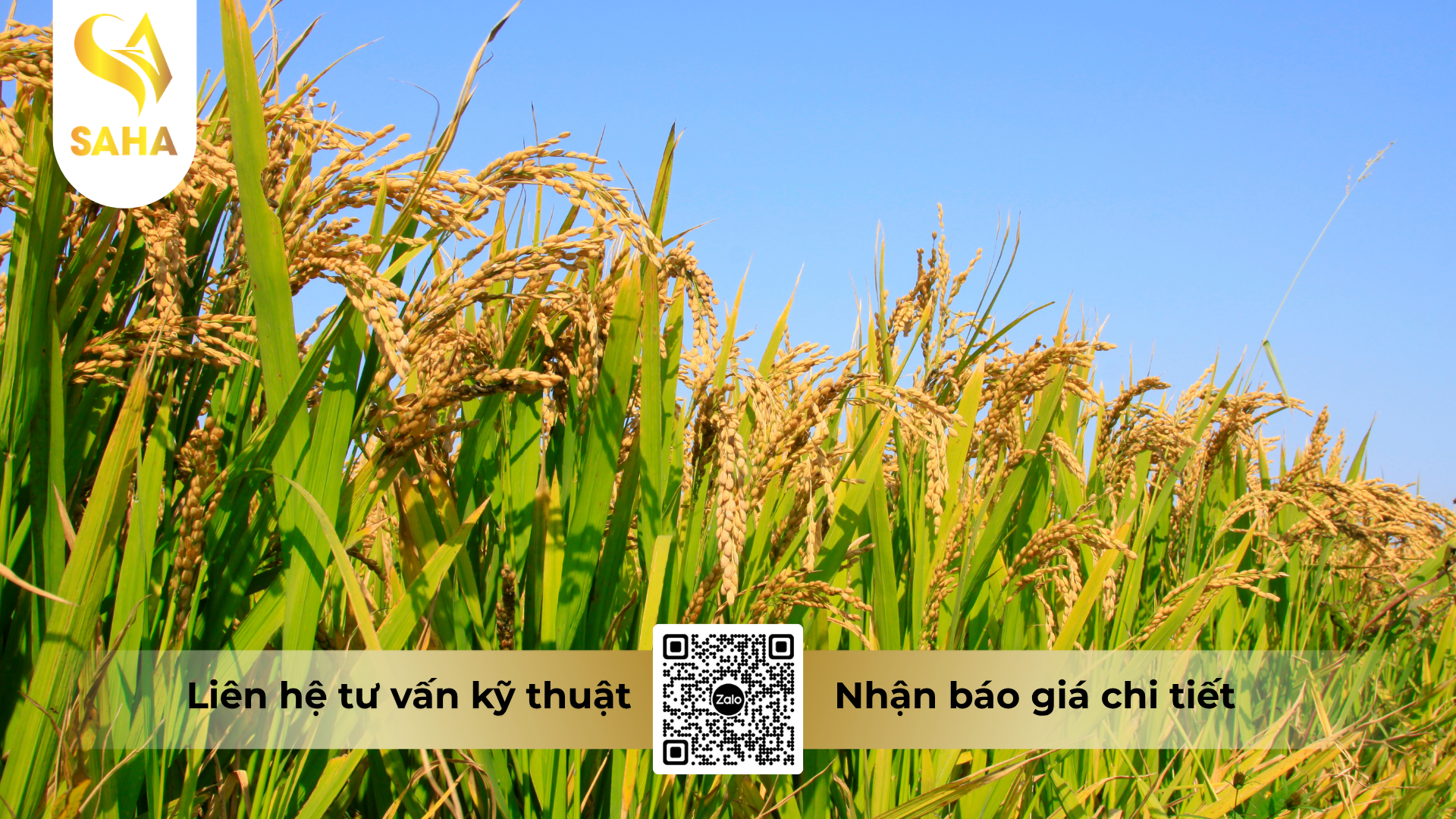 cau-hoi-thuong-gap-ve-thuoc-tru-benh-kansui-21-2wp.png
