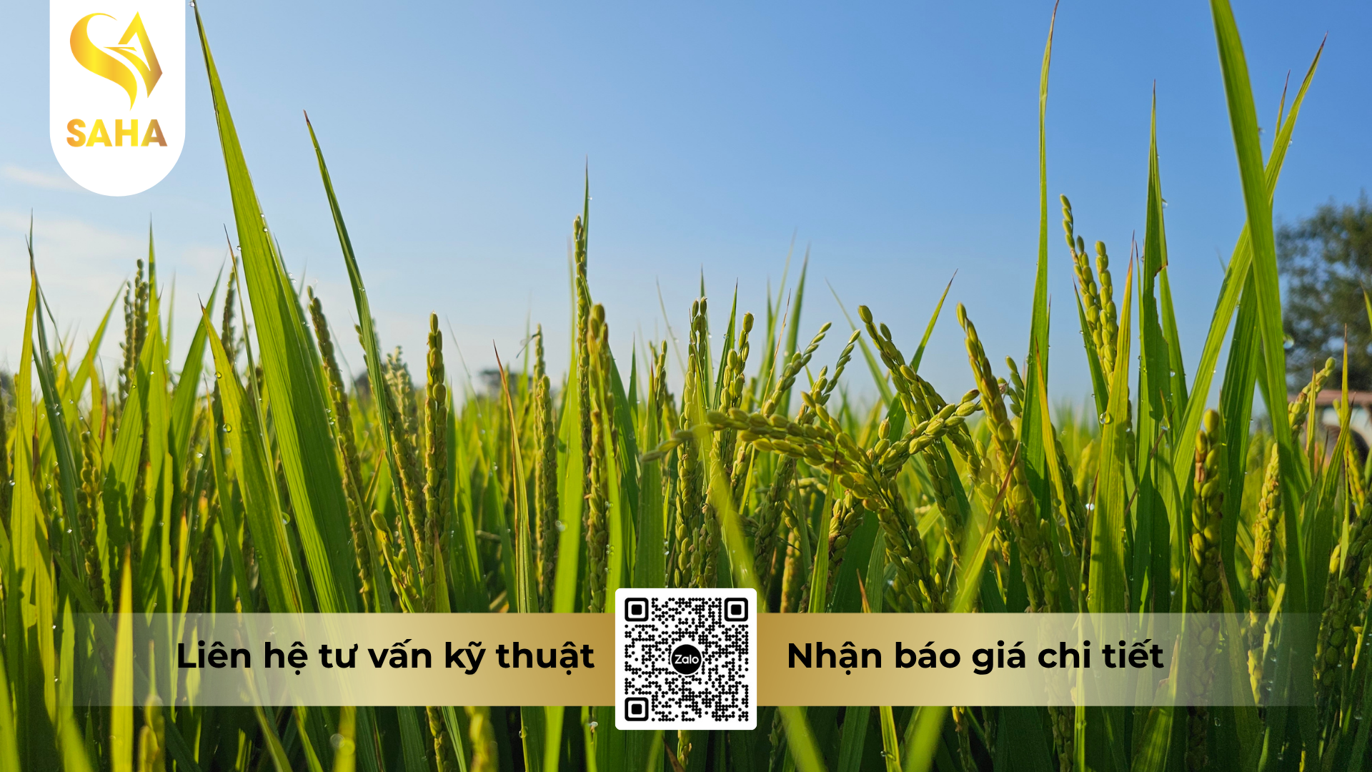 cau-hoi-thuong-gap-ve-thuoc-tru-benh-cao-cap-kansui-21-2wp.png