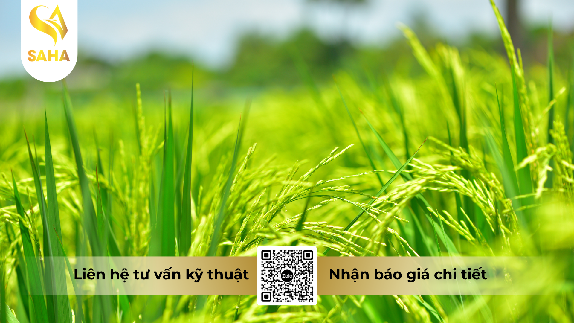cau-hoi-thuong-gap-ve-thuoc-tru-benh-lino-oxto-200wp-hieu-sufaxin-200.png