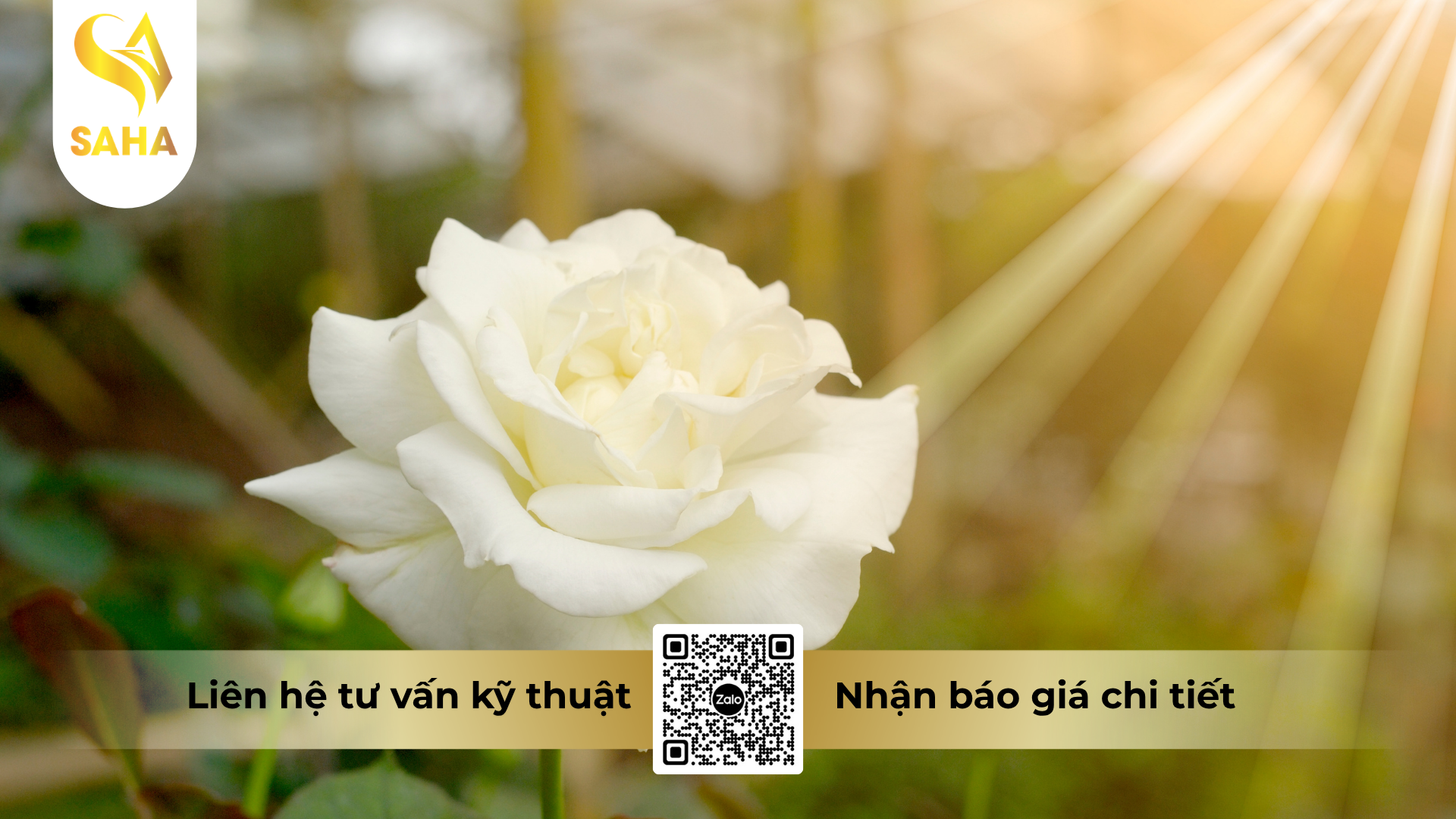 cau-hoi-thuong-gap-ve-thuoc-tru-benh-nekko-69wp-hieu-hadimorp.png