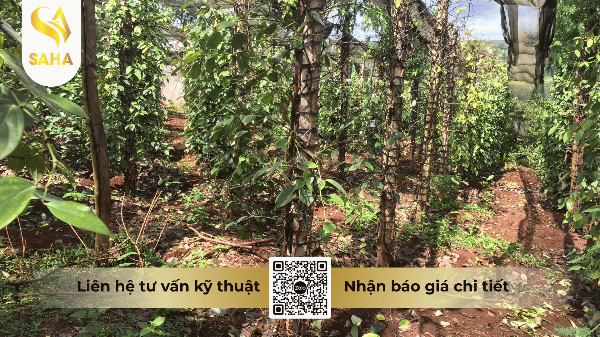 cong-dung-thuoc-tru-benh-anlien-annong-400sc.png
