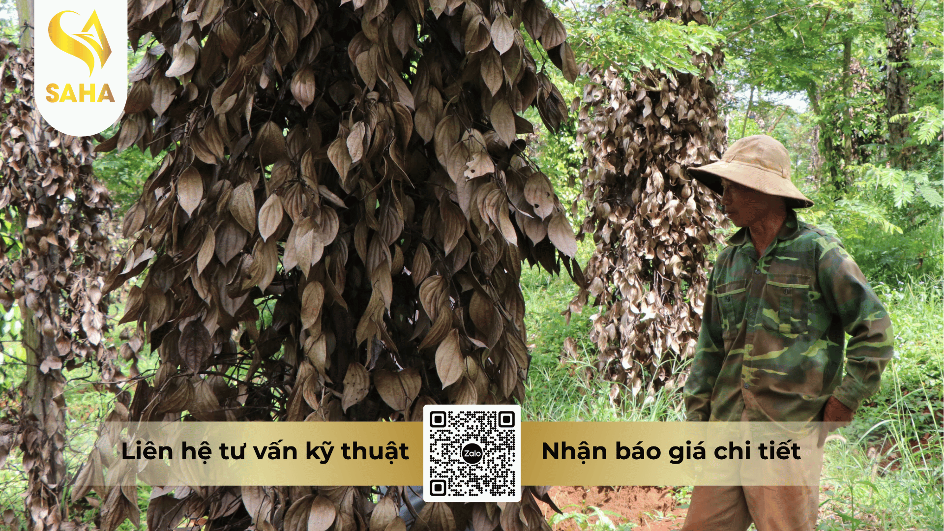cong-dung-thuoc-tru-benh-anlien-annong-800wg.png