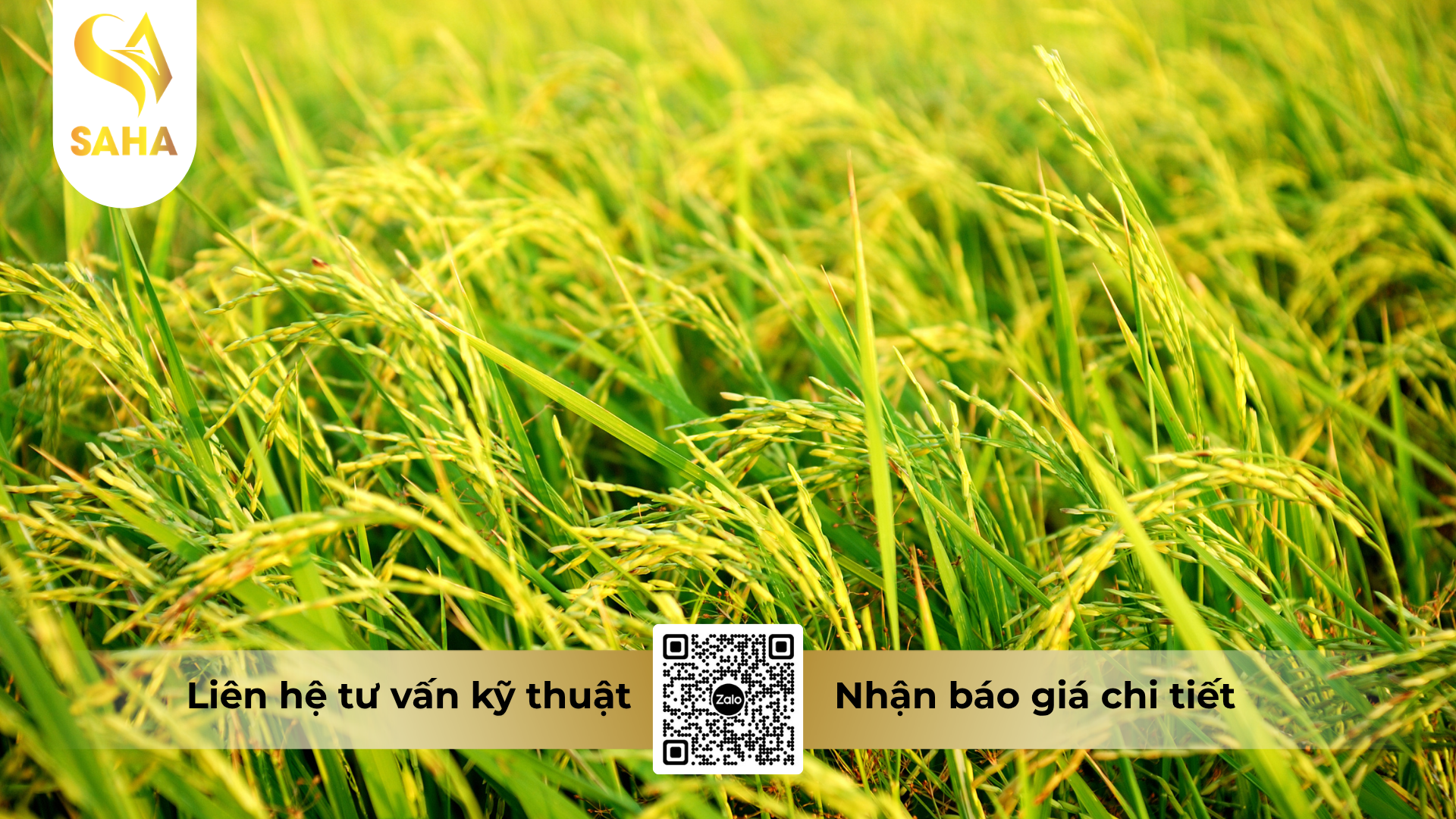 cau-hoi-thuong-gap-ve-thuoc-tru-benh-nikasu-100wp-hieu-happy-khuan.png