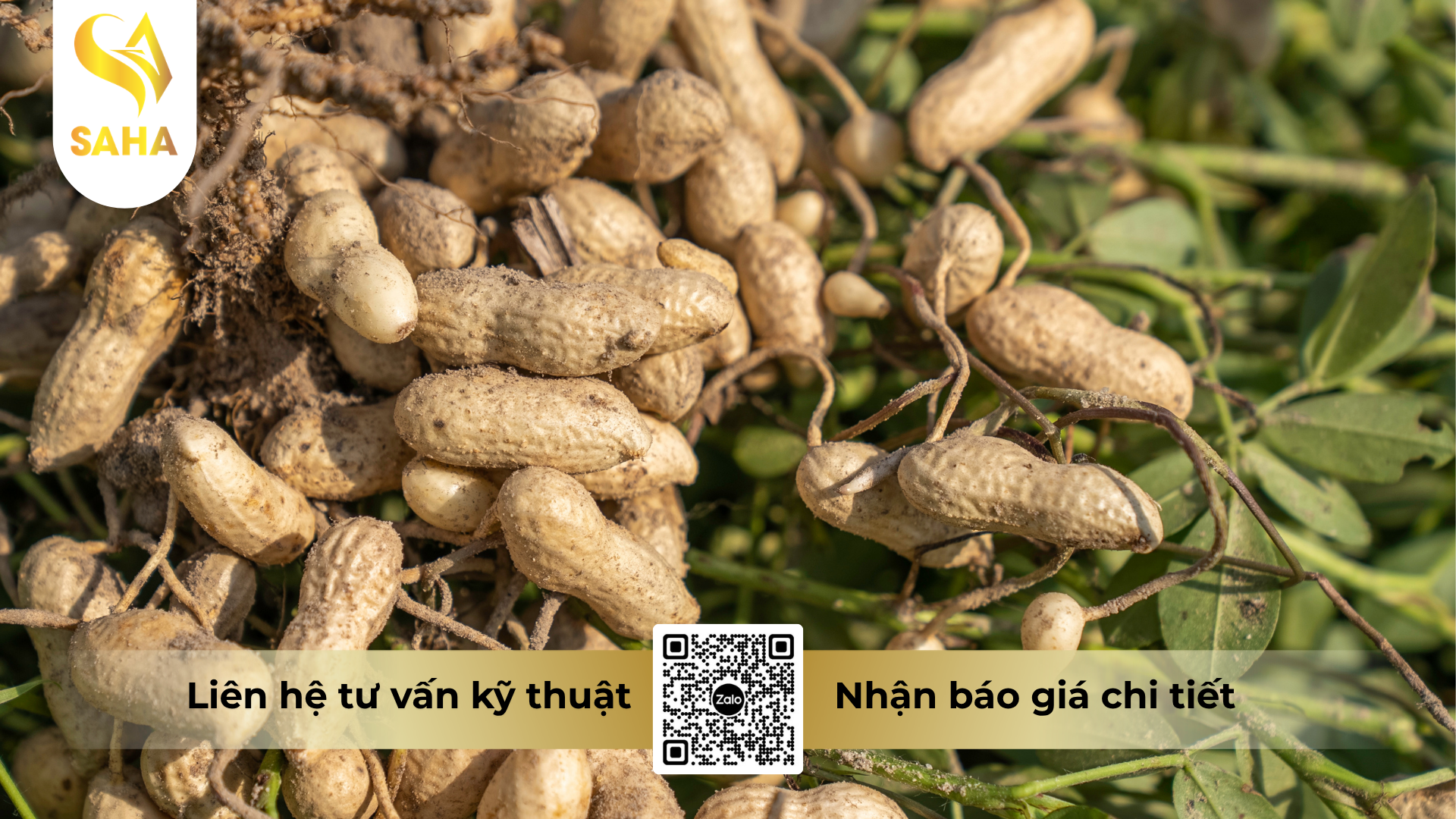 cau-hoi-thuong-gap-ve-thuoc-tru-benh-pn-coppercide-50wp-hieu-nicopper-500.png