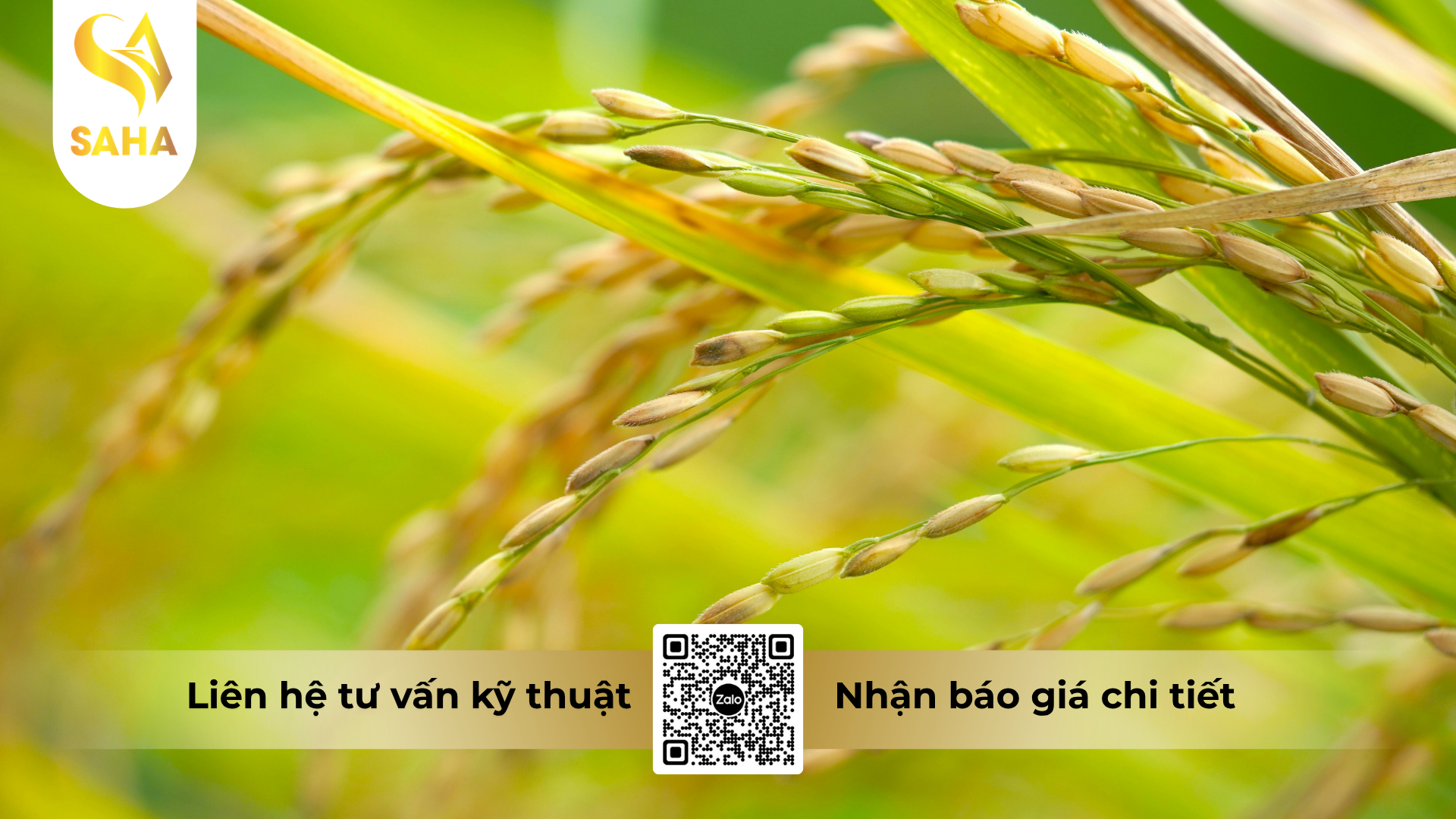 cau-hoi-thuong-gap-ve-thuoc-dac-tri-benh-do-vi-khuan-riazor-215wp-hieu-nirazor-215.png
