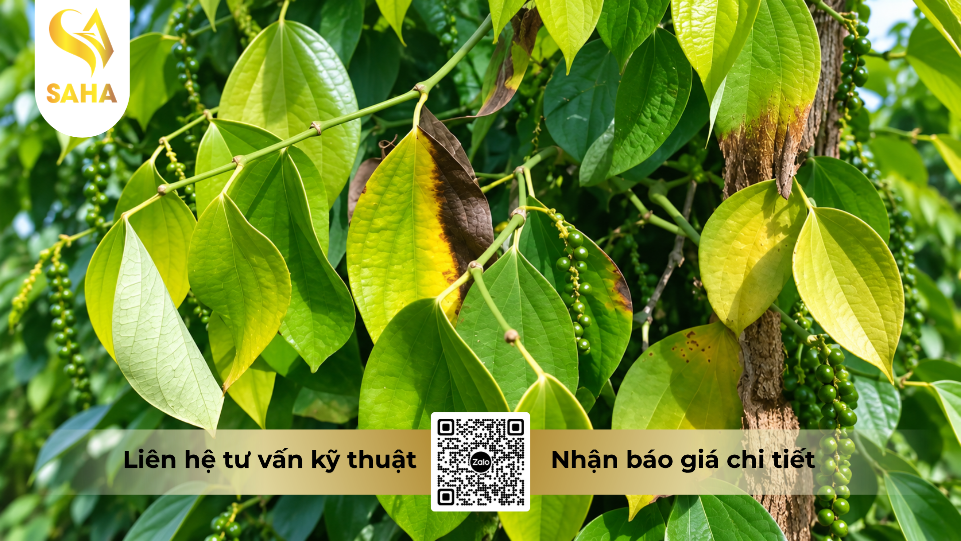 cong-dung-cua-thuoc-tru-benh-rildzomigol-super-68wg-hieu-sandomil-680.png