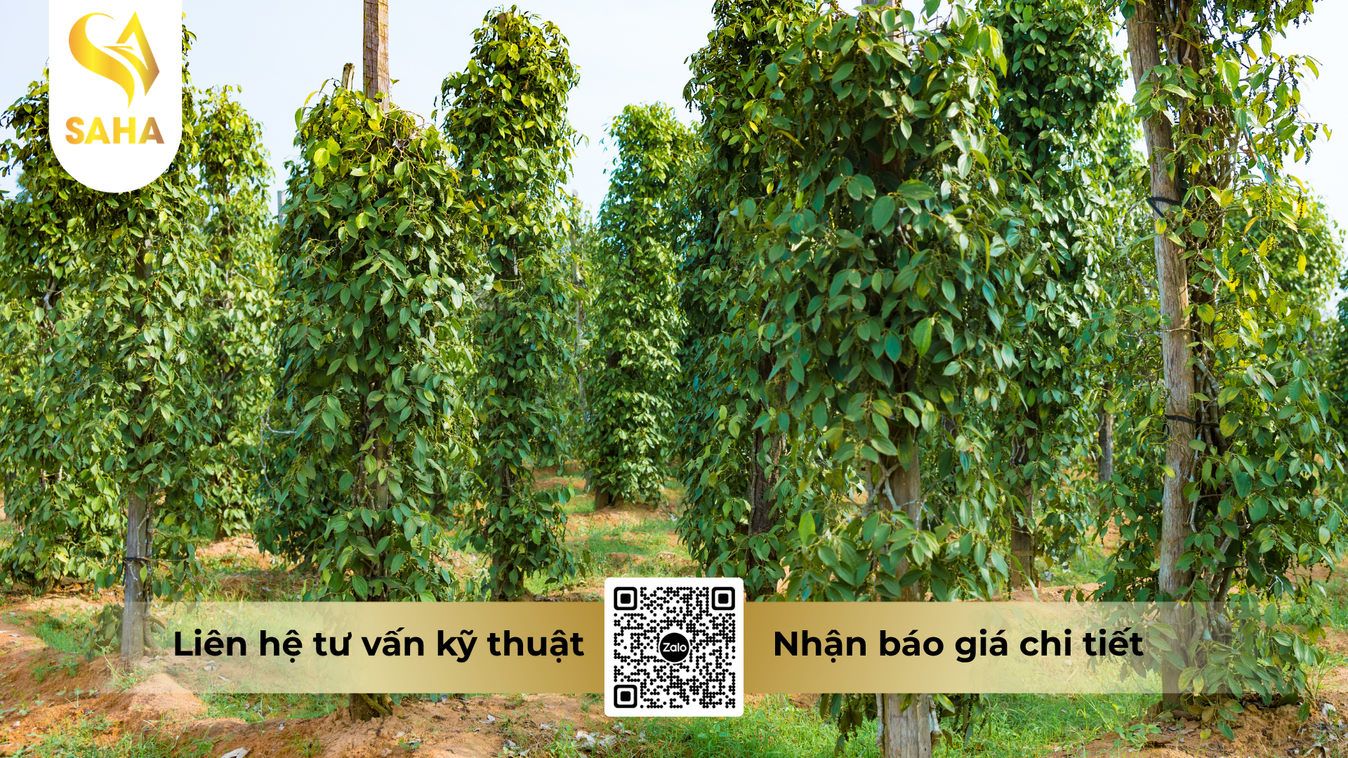 cau-hoi-thuong-gap-ve-thuoc-tru-benh-rildzomigol-super-68wg-hieu-sandomil-680.png