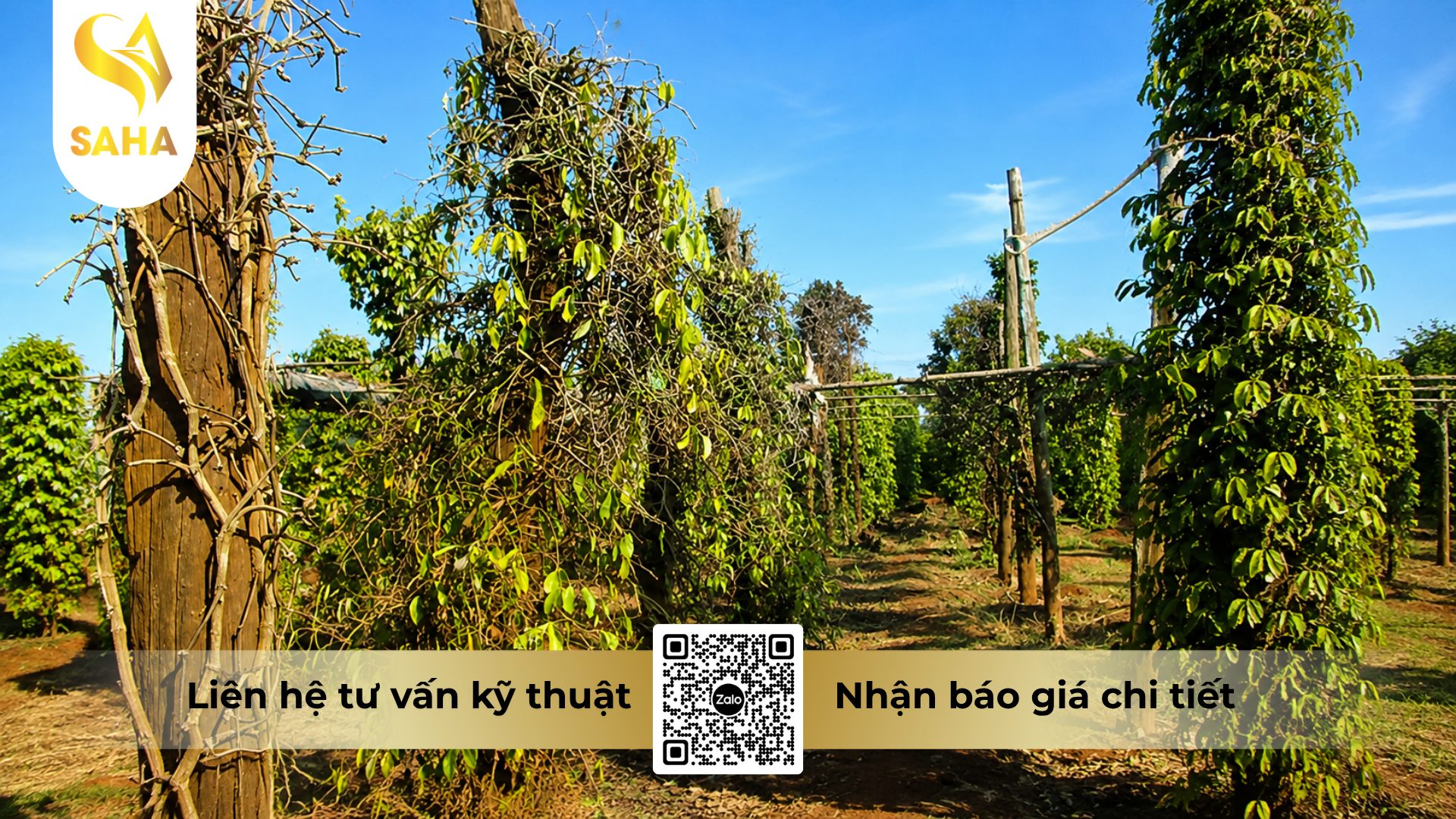 cong-dung-cua-thuoc-tru-benh-rildzomigol-super-68wg-hieu-sandomil-680-1kg.png