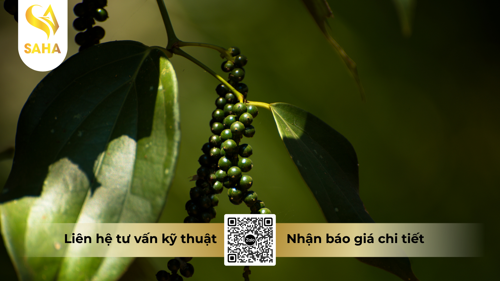 cau-hoi-thuong-gap-ve-thuoc-tru-benh-rildzomigol-super-68wg-hieu-sandomil-680-1kg.png