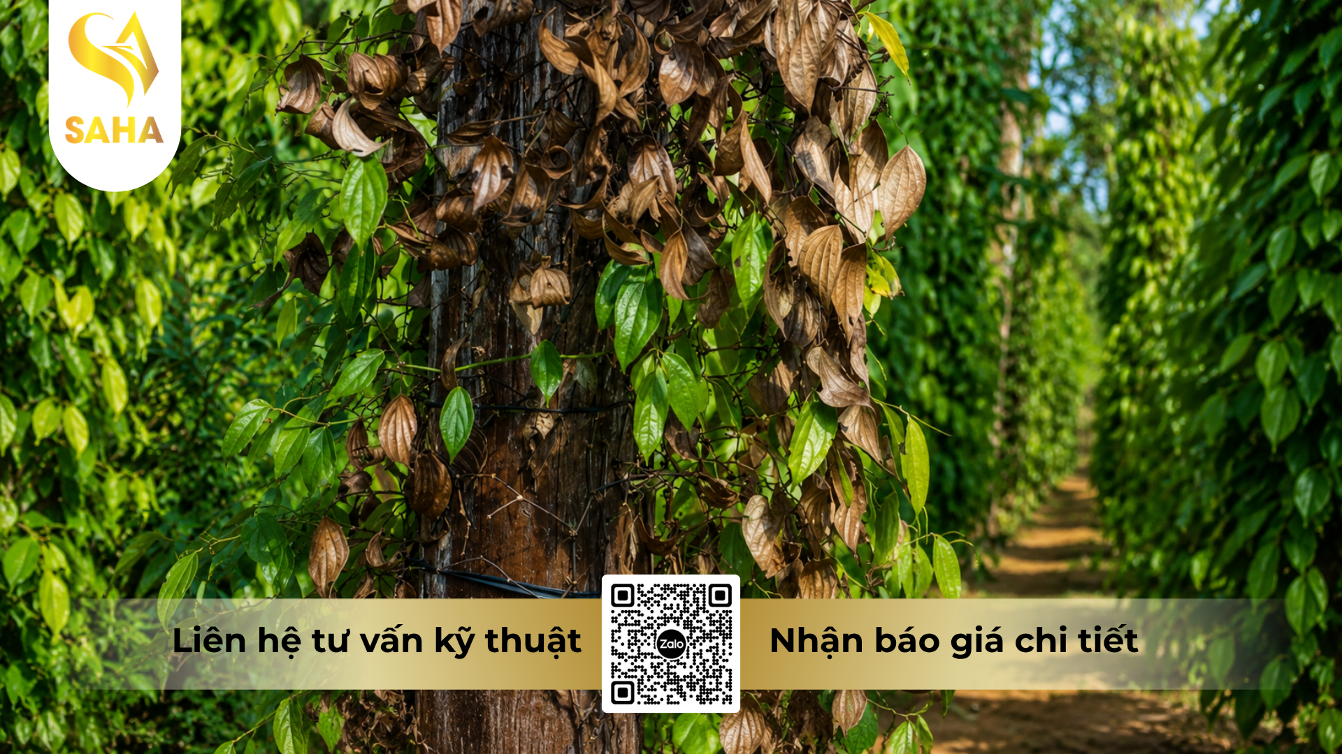 cong-dung-cua-thuoc-tru-benh-rildzomigol-super-68wg-hieu-sandomil-680-500gr.png