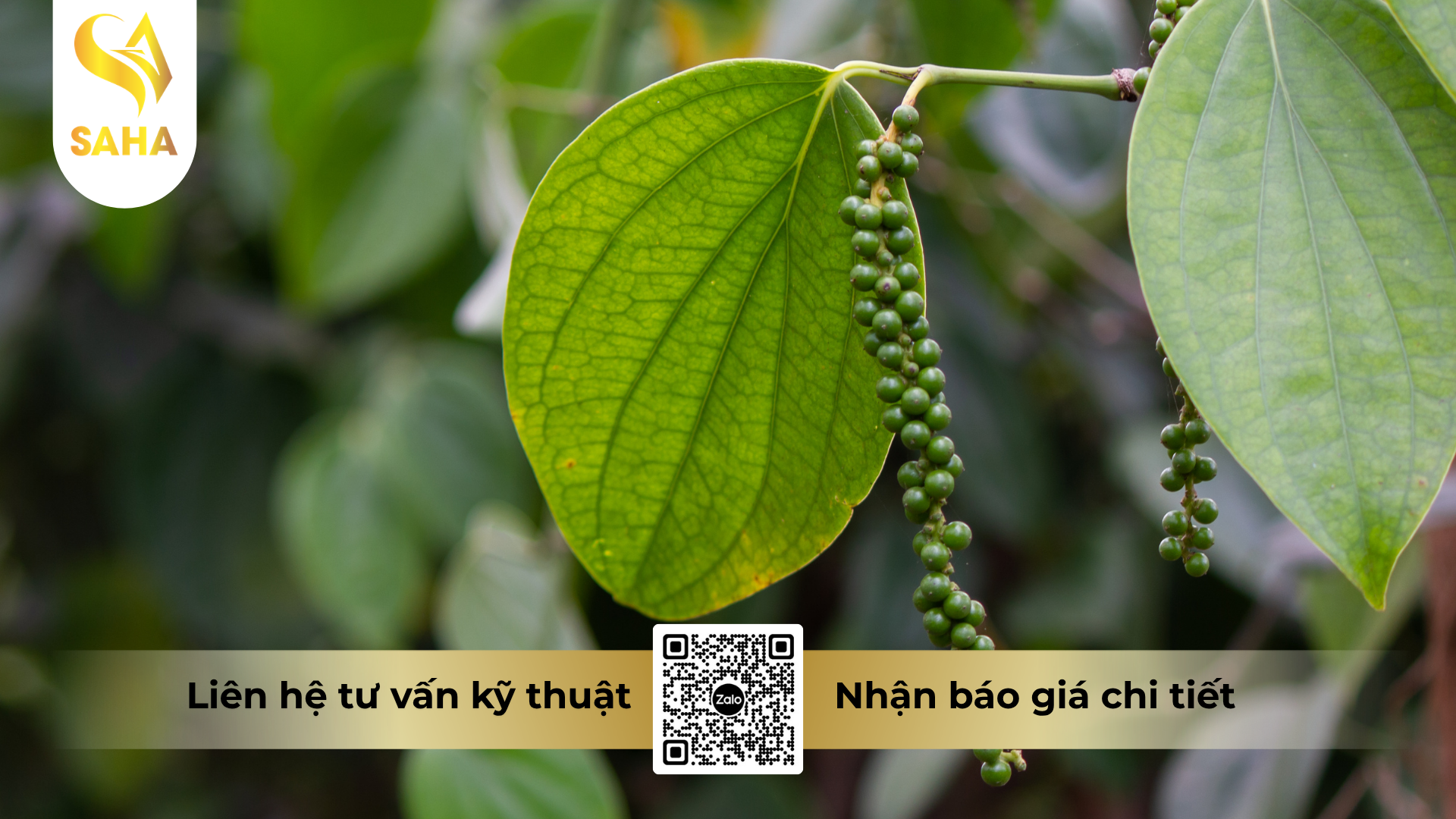cau-hoi-thuong-gap-ve-thuoc-tru-benh-rildzomigol-super-68wg-hieu-sandomil-680-500gr.png
