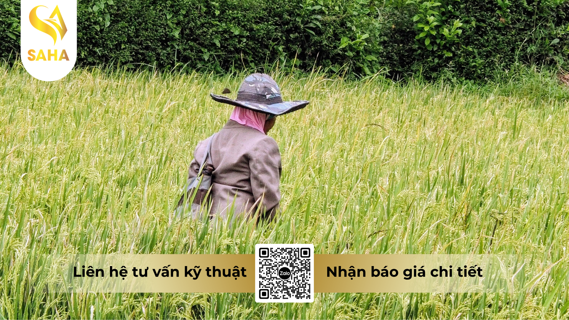 cau-hoi-thuong-gap-ve-thuoc-tru-benh-rorigold-680wg.png