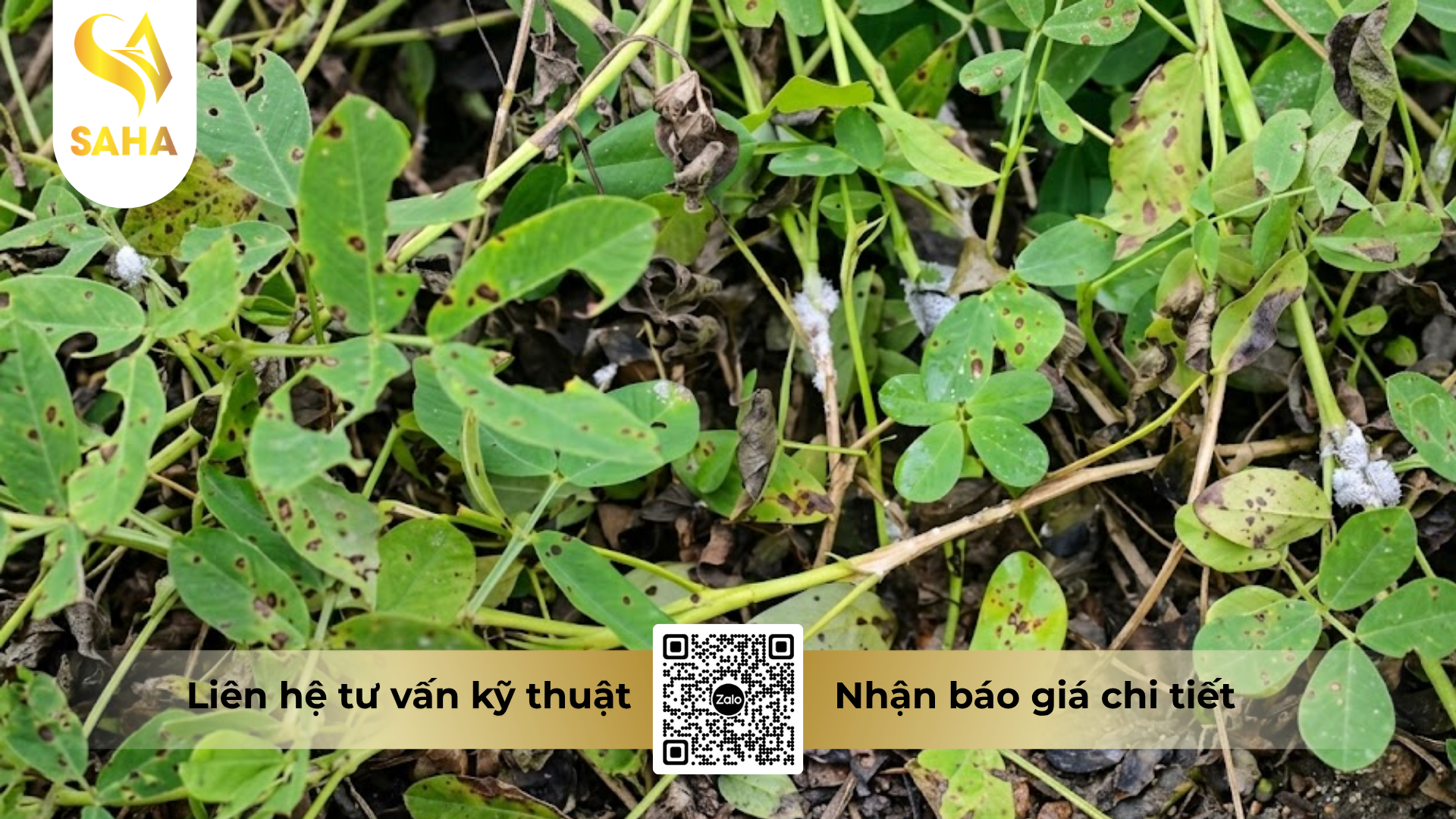 cong-dung-cua-thuoc-tru-benh-unizebando-800wp-hieu-hamanco-blue.png