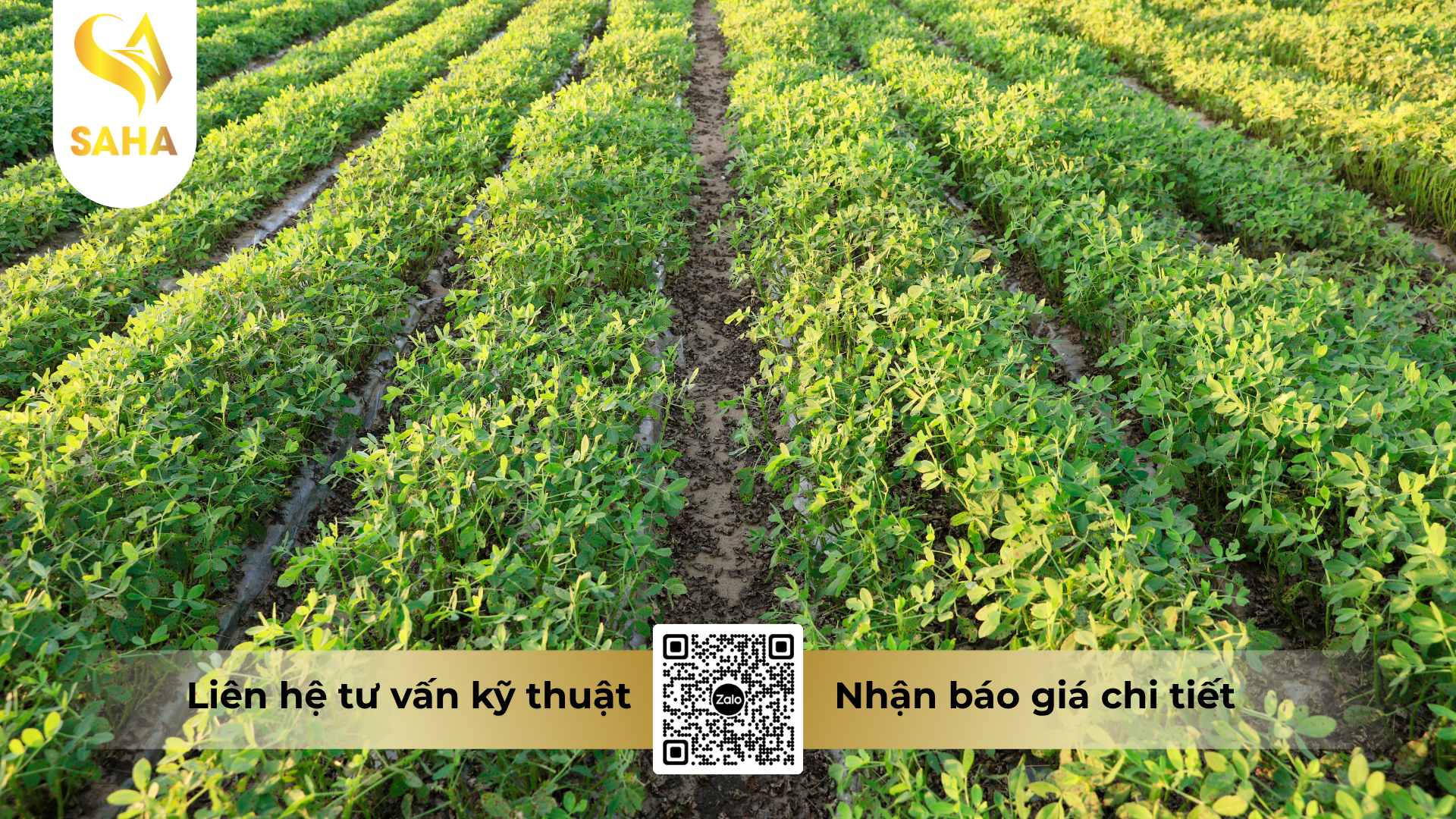 cau-hoi-thuong-gap-ve-thuoc-tru-benh-unizebando-800wp-hieu-hamanco-blue.png