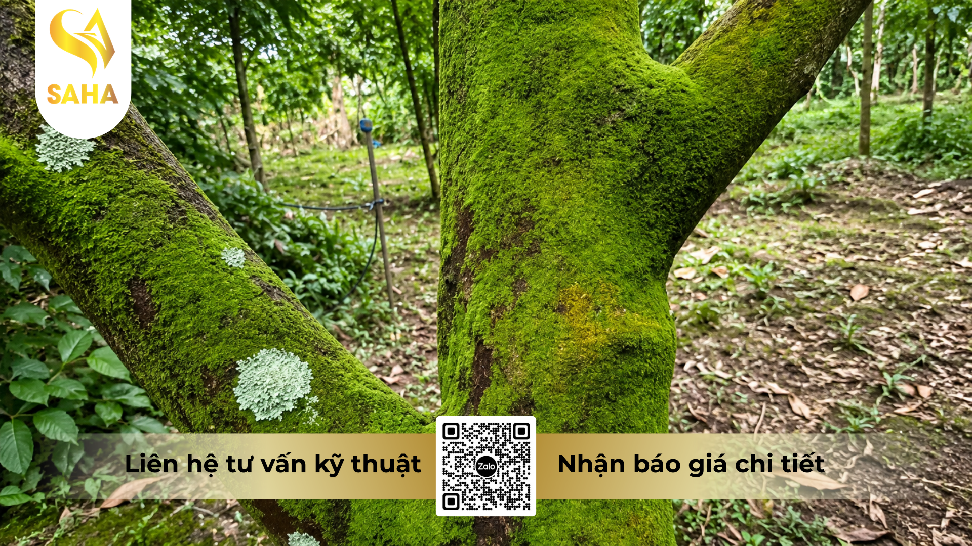 cong-dung-cua-hoa-chat-phuc-vu-nong-nghiep-chuyen-rua-vuon-hieu-wet-sach.png