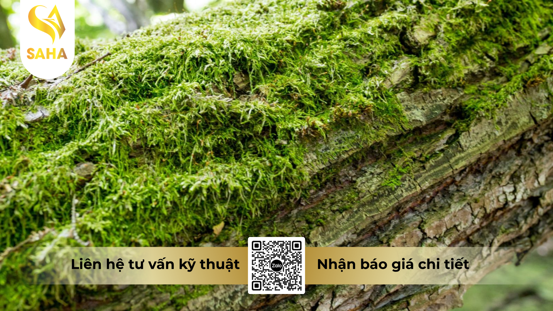 cau-hoi-thuong-gap-ve-hoa-chat-phuc-vu-nong-nghiep-chuyen-rua-vuon-hieu-wet-sach.png