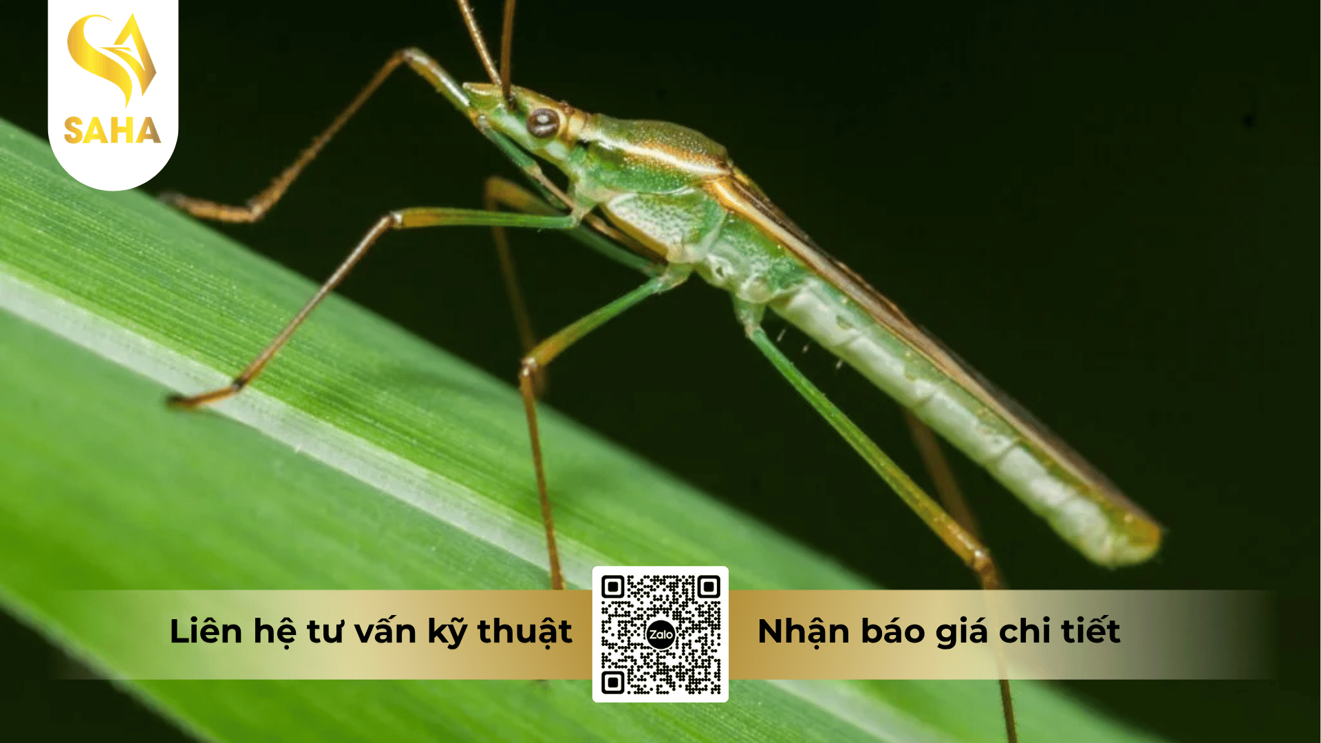 cong-dung-thuoc-tru-sau-anphatox-5ec.png
