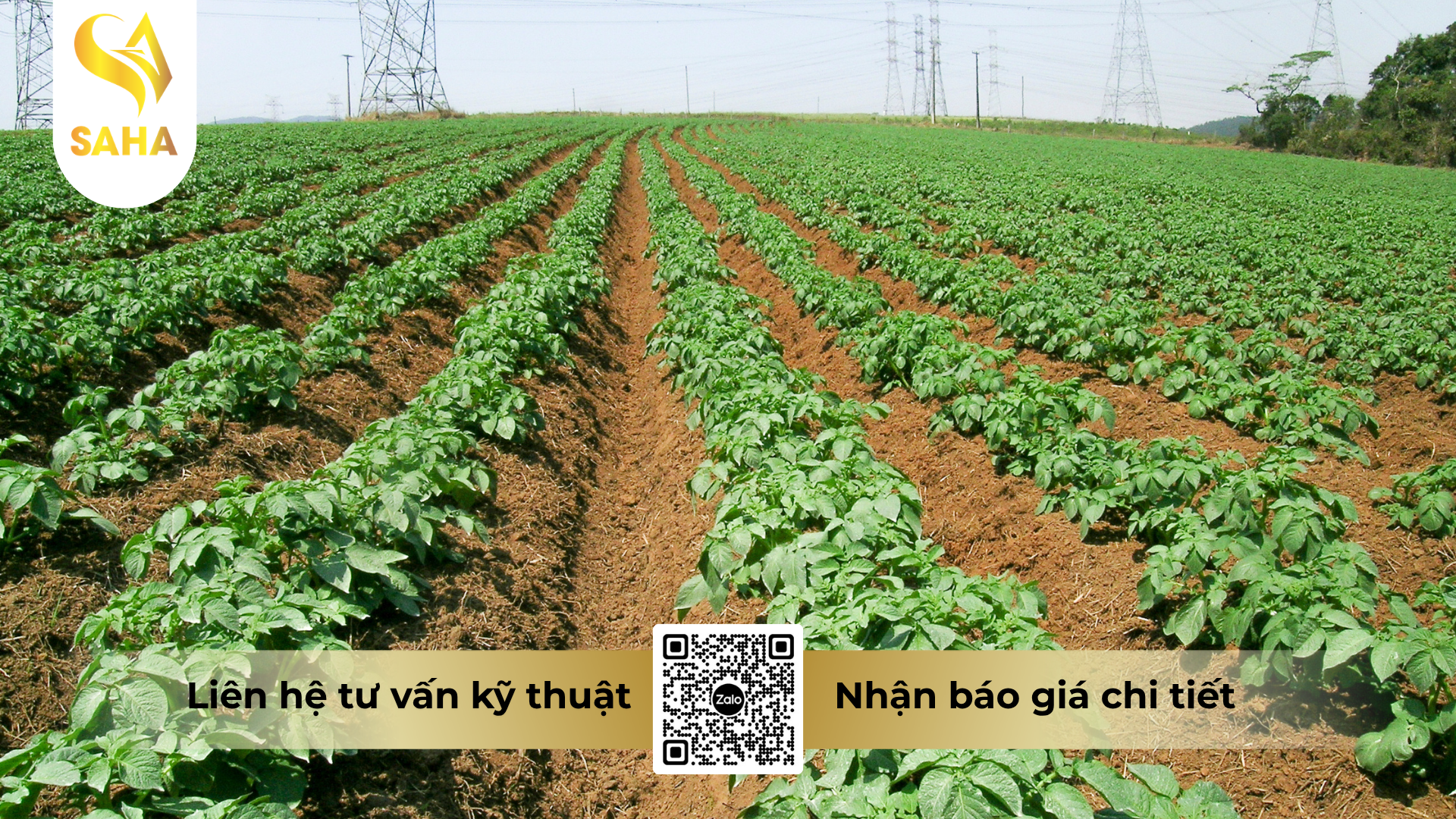 cau-hoi-thuong-gap-ve-thuoc-tru-benh-zineb-bul-80wp-hieu-zinny-80.png