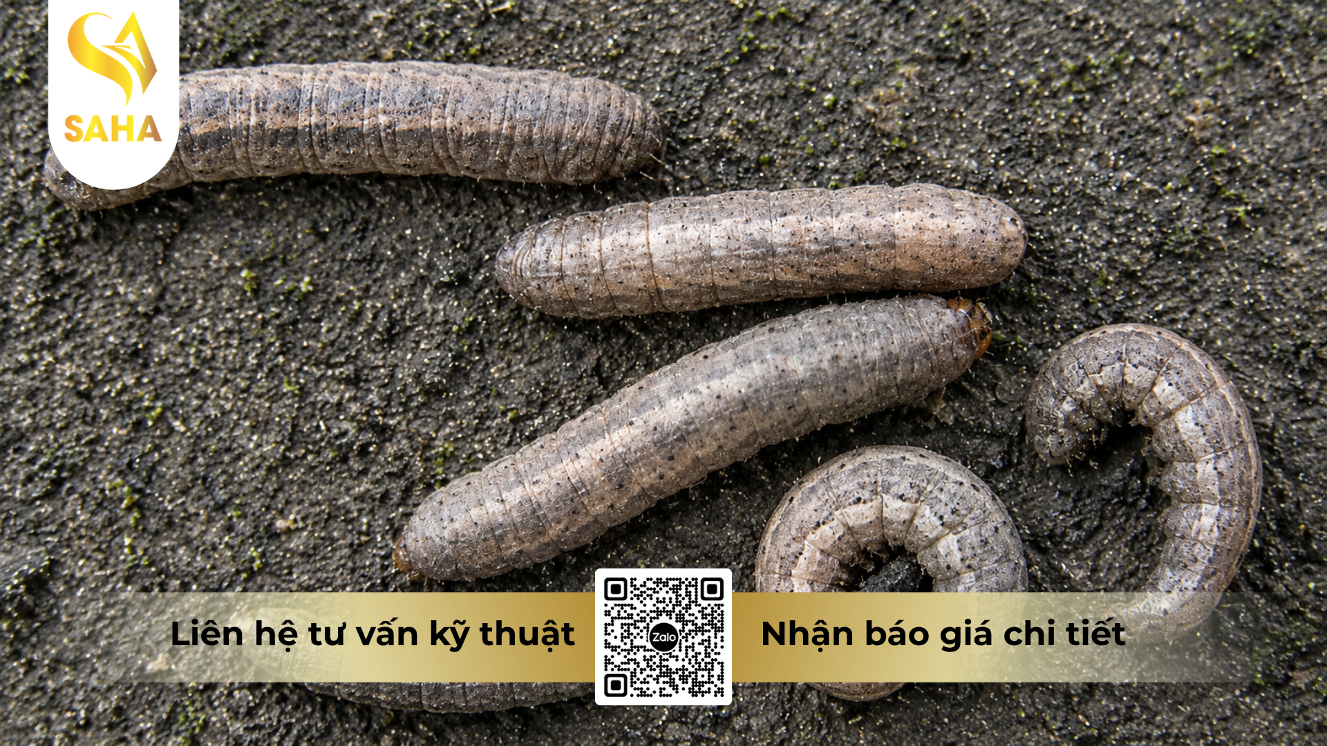 cong-dung-cua-thuoc-tru-sau-ad-lutein-3gr-hieu-fagensuper-3-0.png