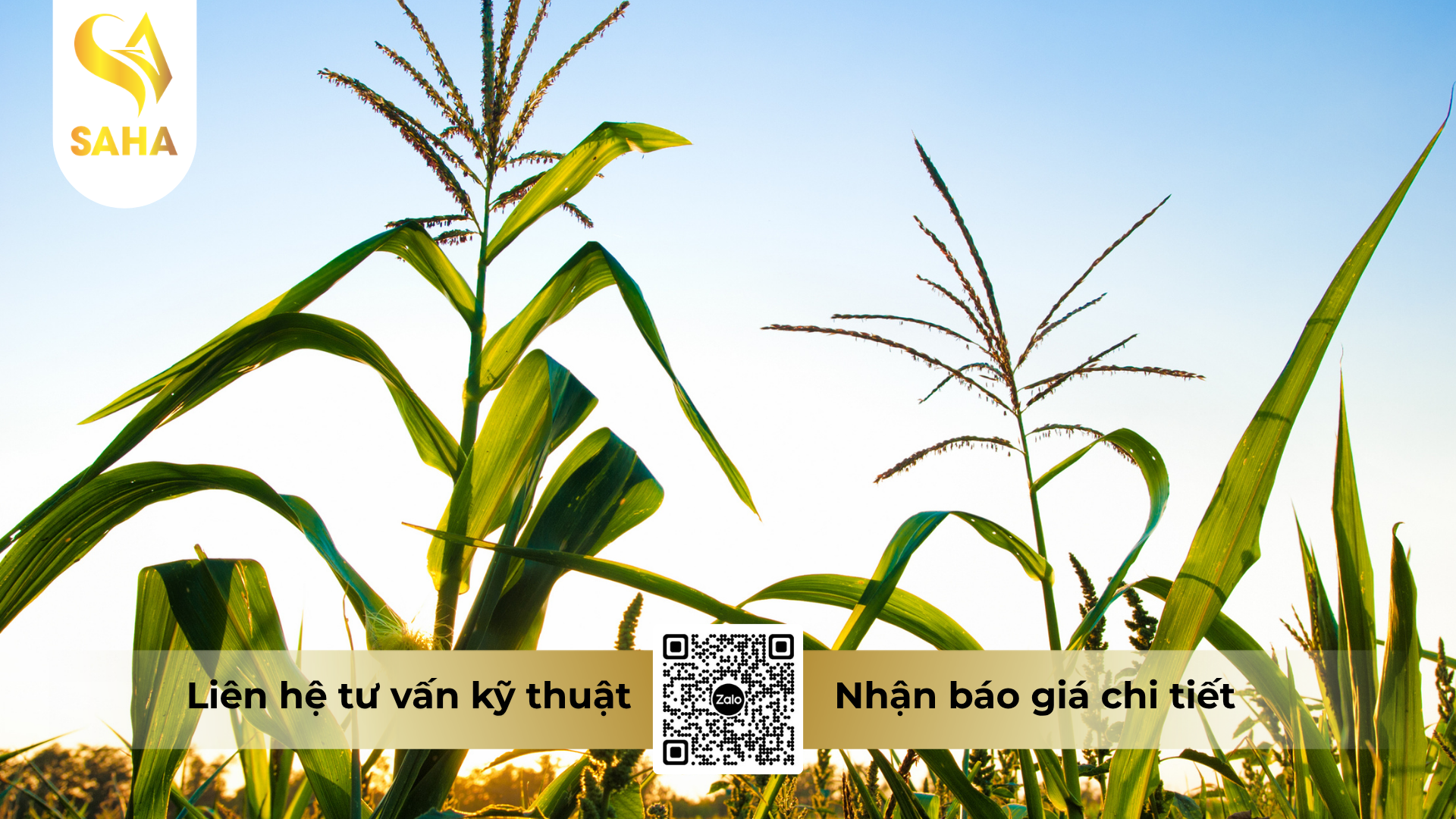 cau-hoi-thuong-gap-ve-thuoc-tru-sau-ad-lutein-3gr-hieu-fagensuper-3-0.png
