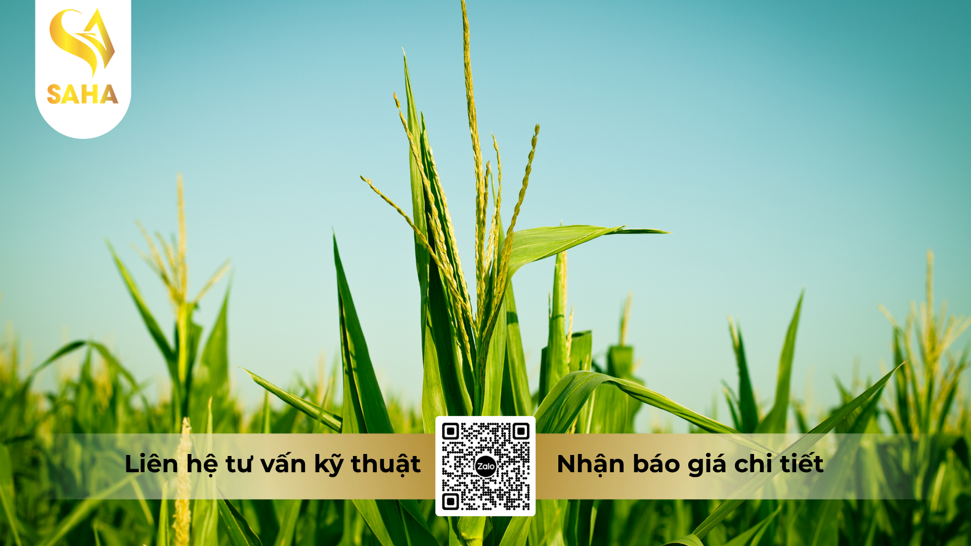 cau-hoi-thuong-gap-ve-thuoc-tru-sau-ad-lutein-3gr-hieu-basudin-3-0.png