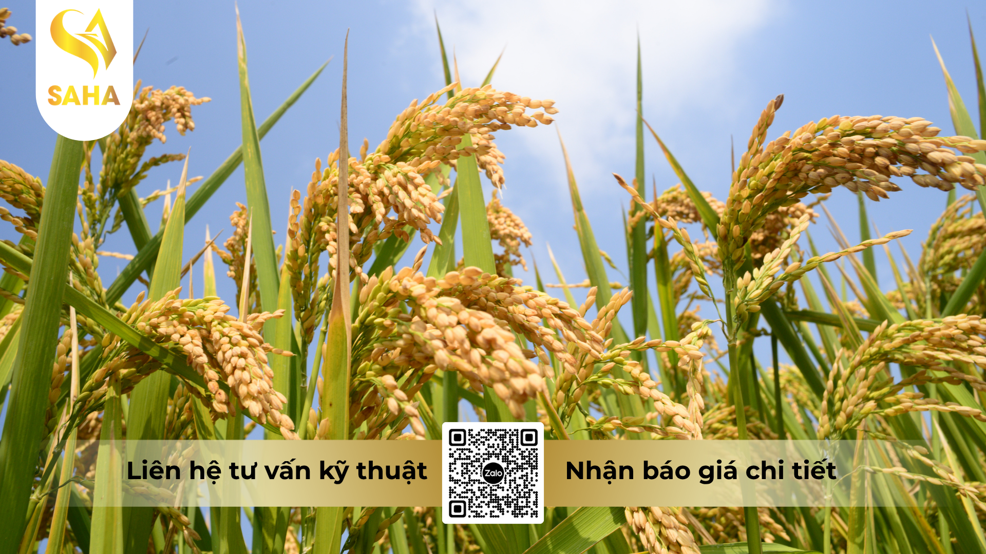 cau-hoi-thuong-gap-ve-thuoc-tru-sau-apashuang-10gr.png