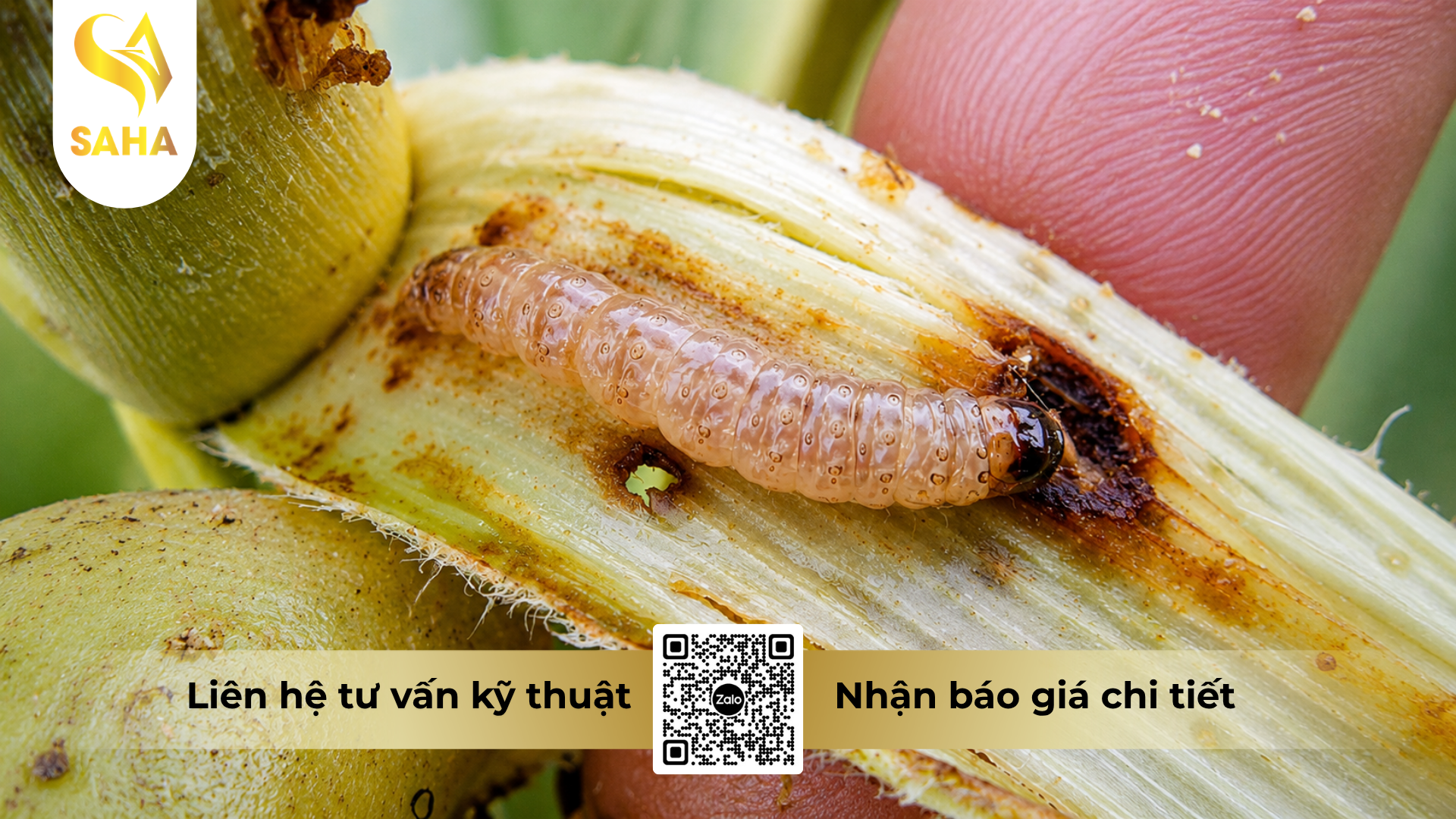cong-dung-cua-thuoc-tru-sau-ledan-4gr-hieu-carleda.png