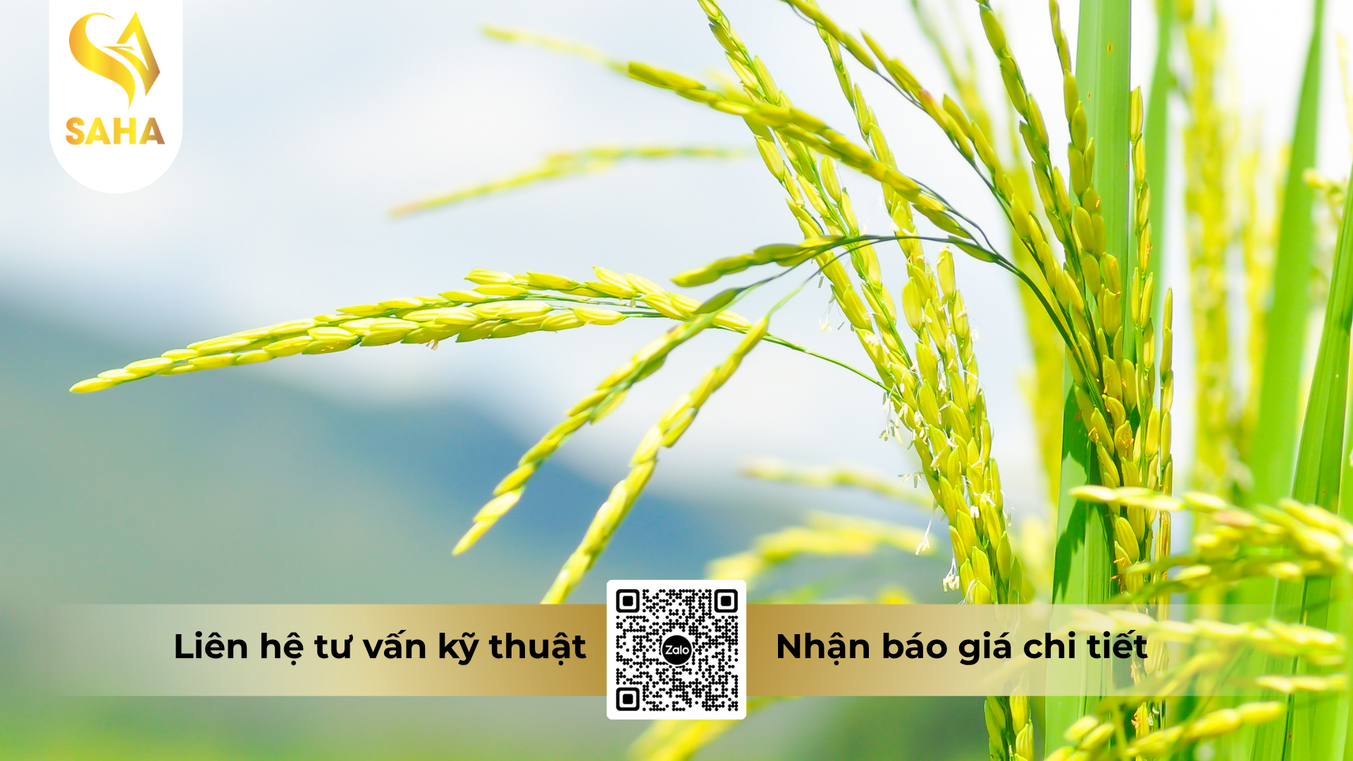 cau-hoi-thuong-gap-ve-thuoc-tru-sau-ledan-4gr-hieu-carleda.png