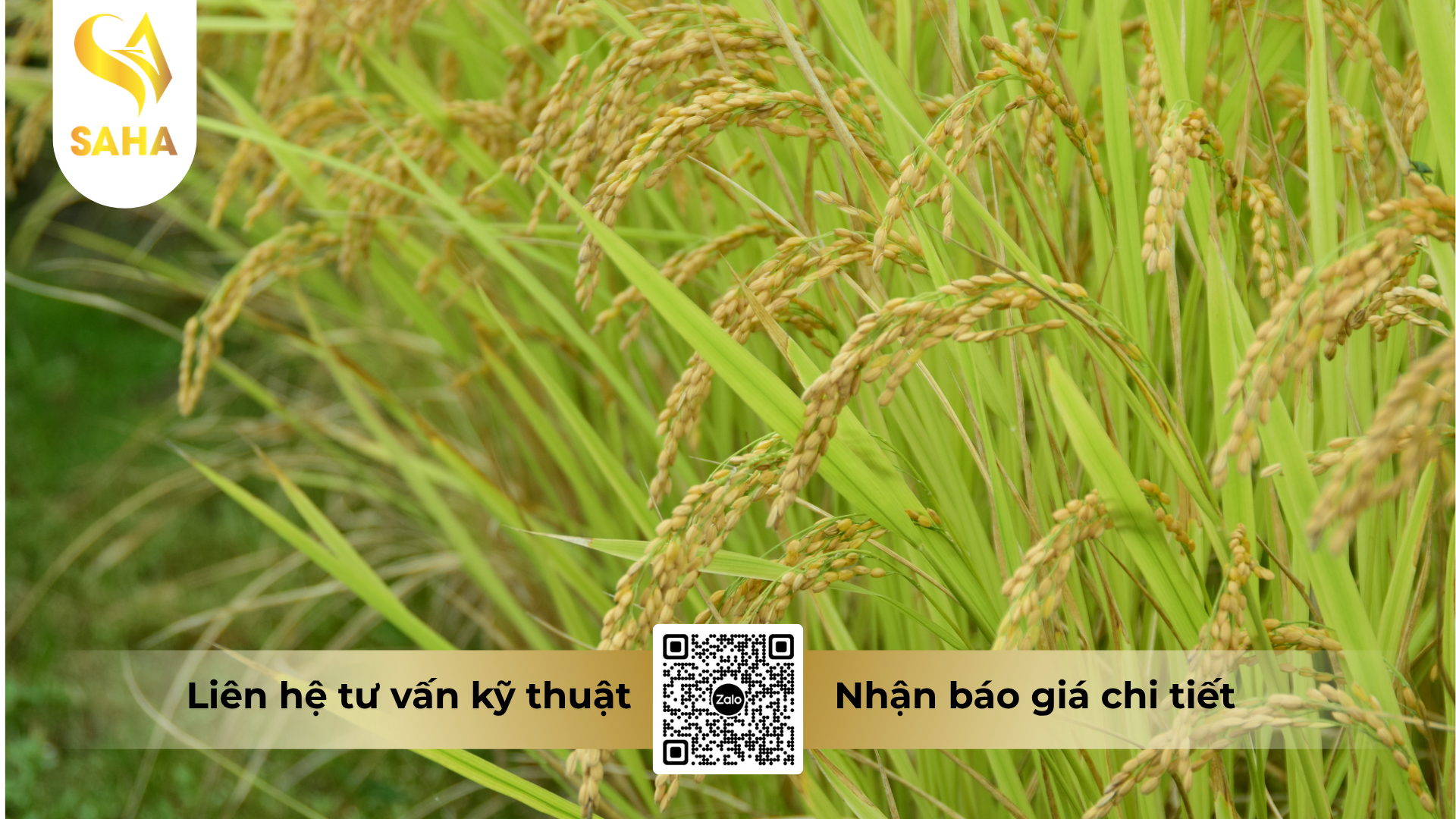 cau-hoi-thuong-gap-ve-thuoc-tru-sau-ledan-4gr-hieu-nifadan-40.png