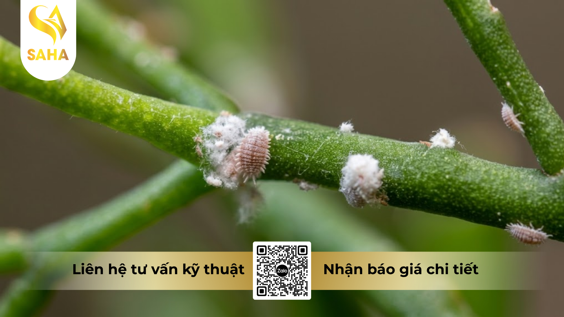 cong-dung-cua-thuoc-tru-sau-safadan-65-hieu-basudin-65g.png