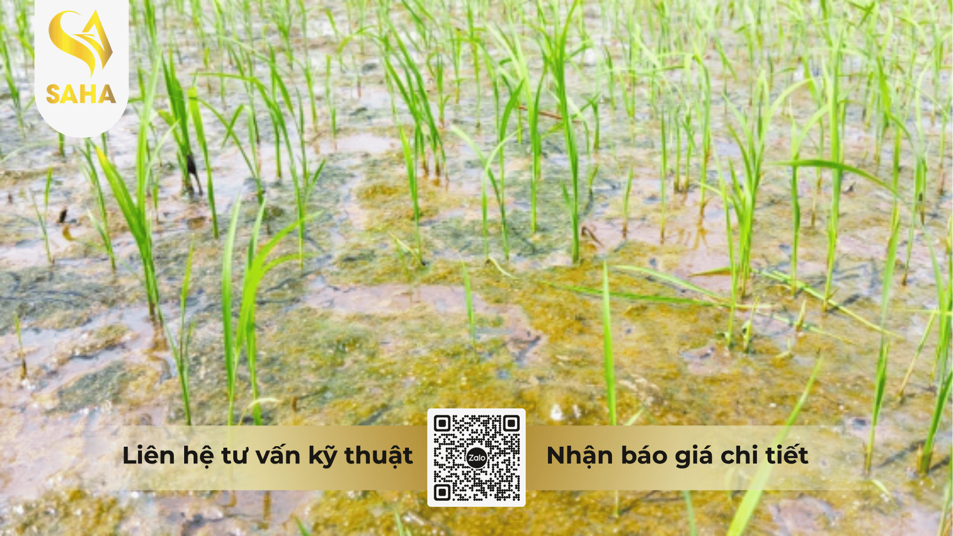 cong-dung-thuoc-tru-co-anruma-75-sc.png