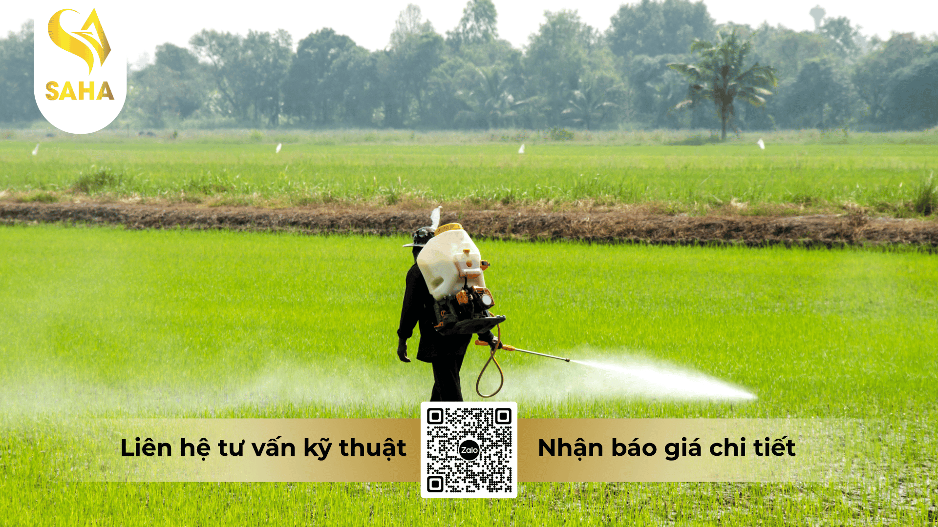 cau-hoi-thuong-gap.png