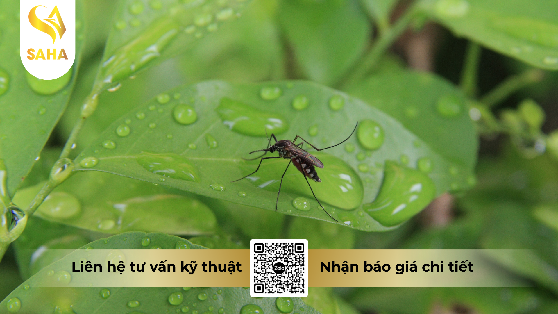 cong-dung-cua-che-pham-diet-muoi-safadan-65-hieu-fagens-65g-super.png