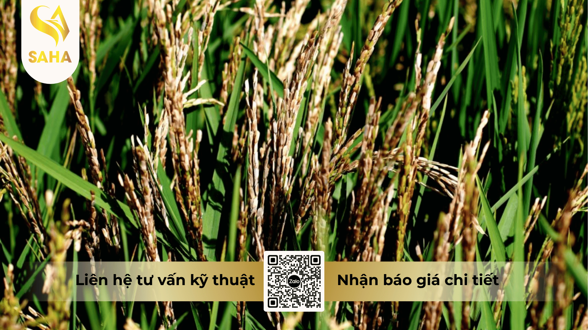 thong-tin-chung-thuoc-tru-benh-anruta-400ec.png