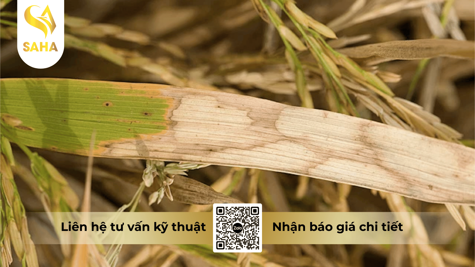 cong-dung-thuoc-tru-benh-anruta-400ec.png