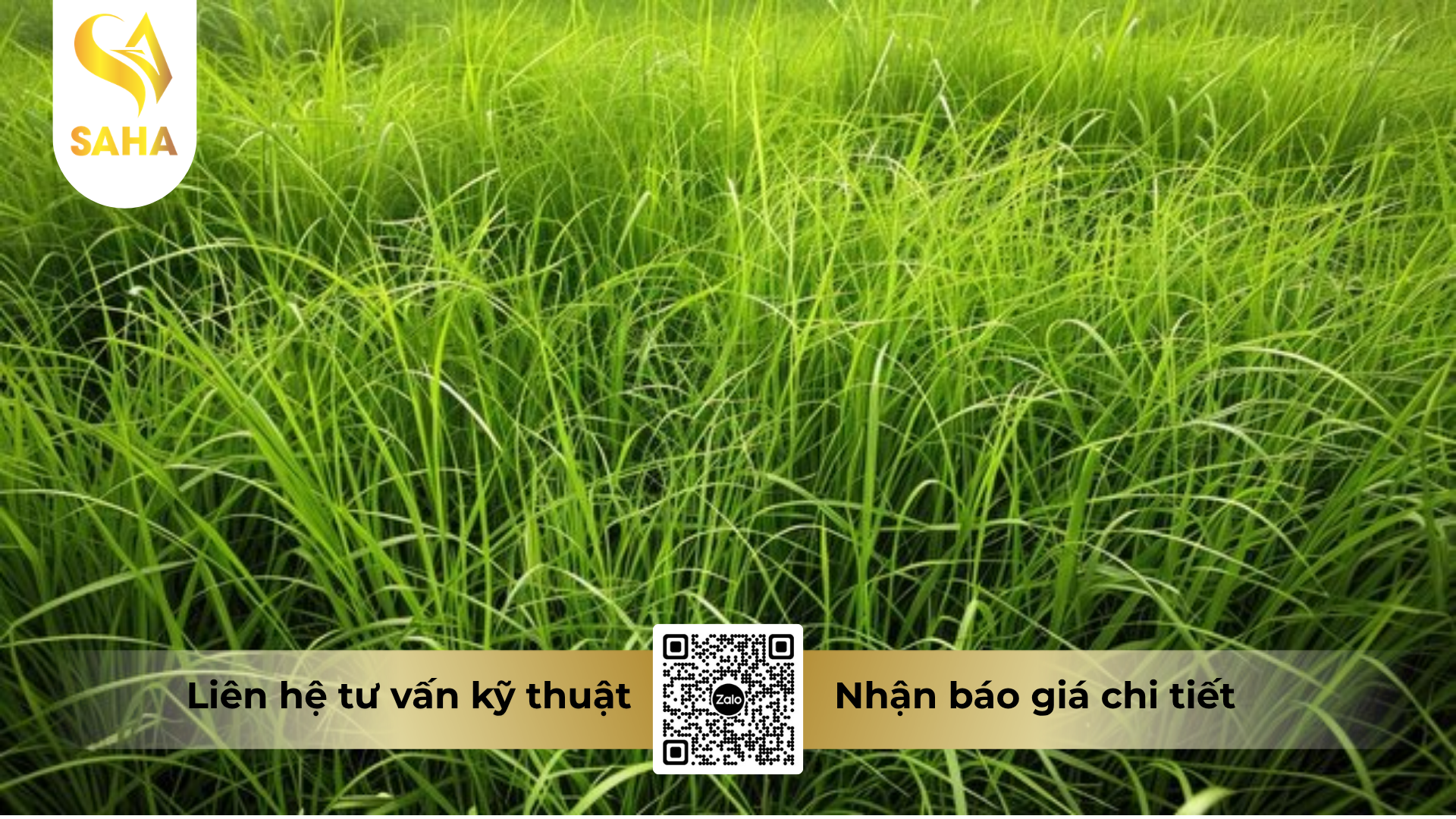 cong-dung-cua-thuoc-tru-co-glufocide-200sl-hieu-ronup-480.png