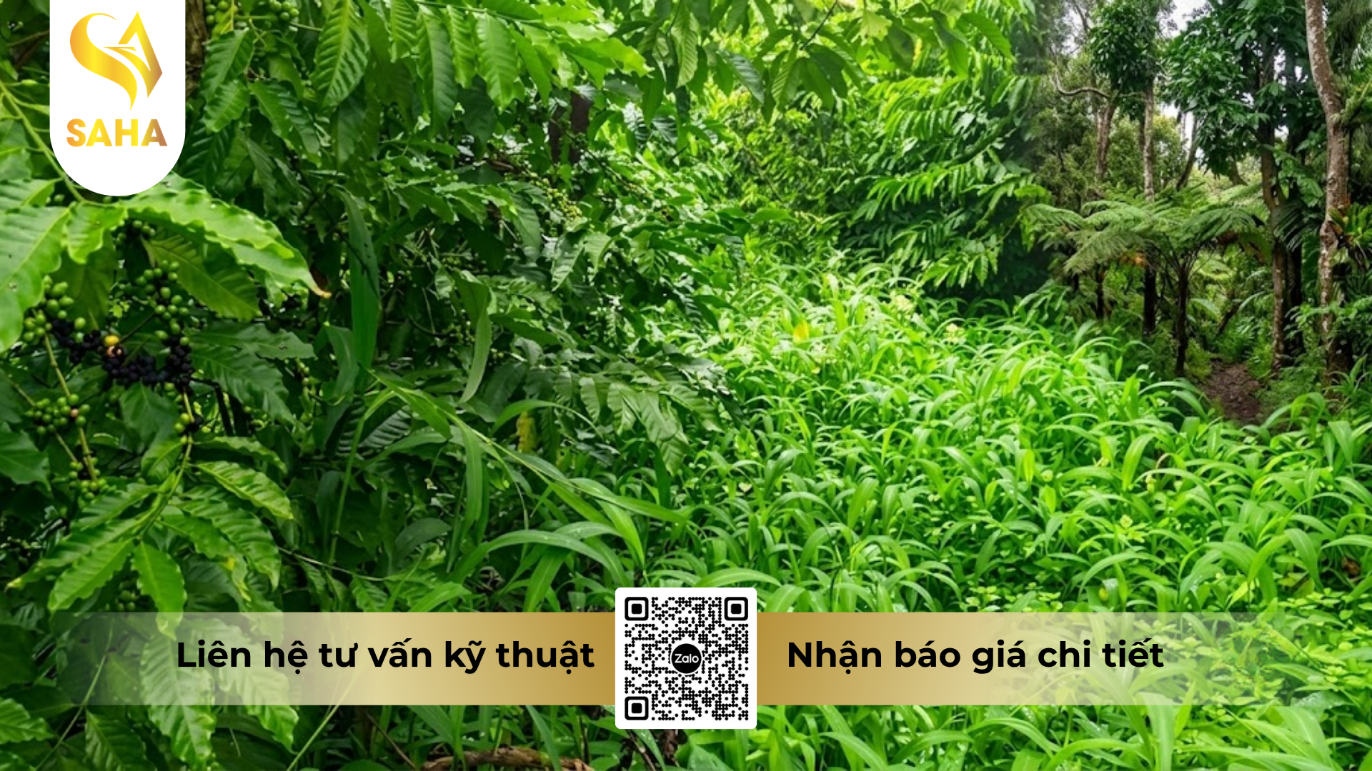 cong-dung-cua-thong-tin-chung-ve-thuoc-tru-co-glufocide-200sl-hieu-ronup-480-4-5-l.png