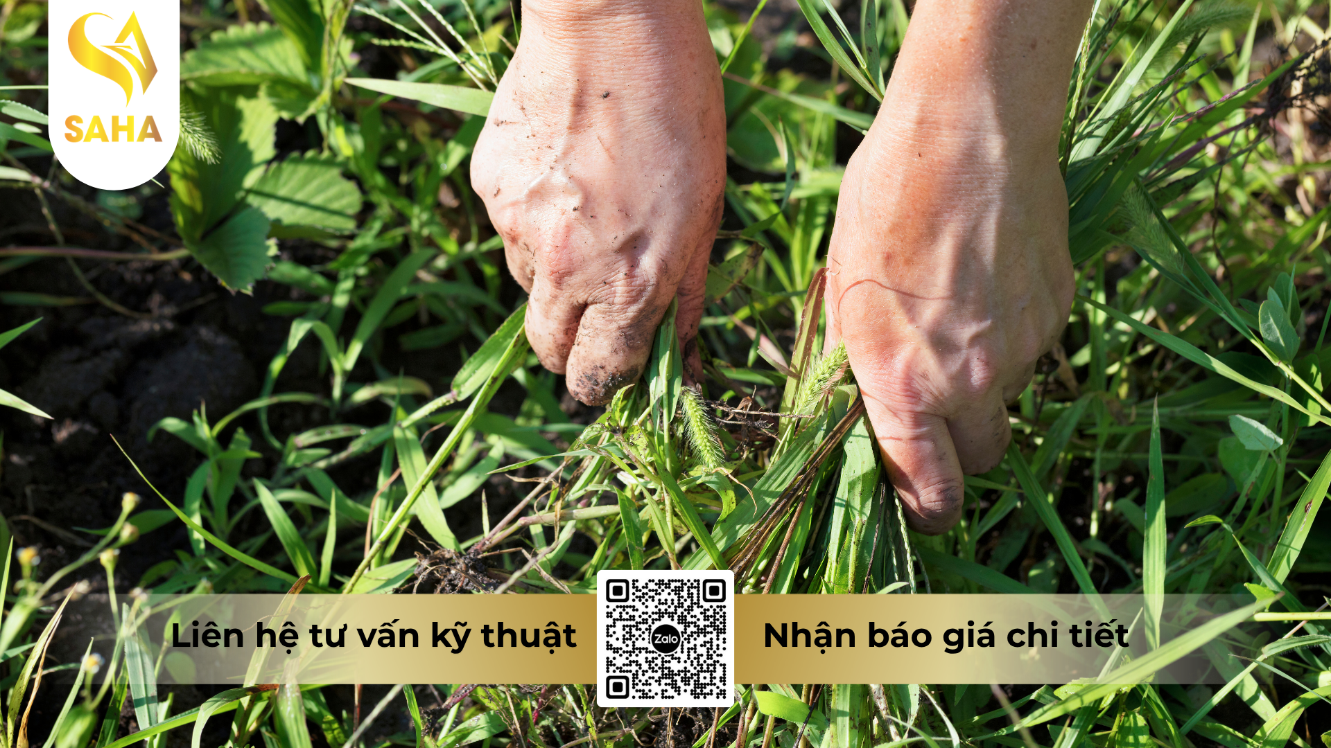 cau-hoi-thuong-gap-ve-thong-tin-chung-ve-thuoc-tru-co-glufocide-200sl-hieu-ronup-480-4-5-l.png