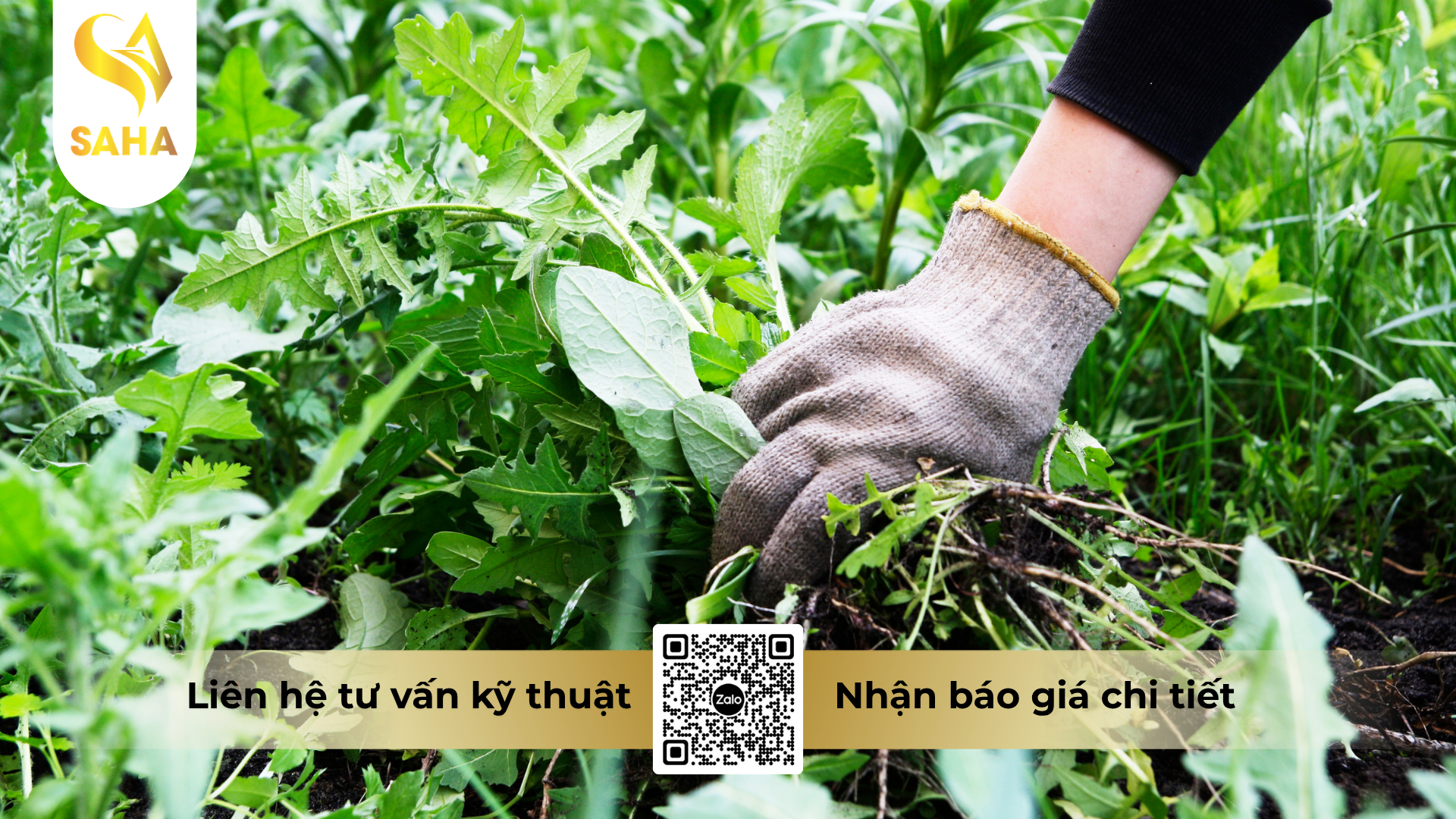 cong-dung-cua-thuoc-tru-co-antaco-500ec-450ml.png