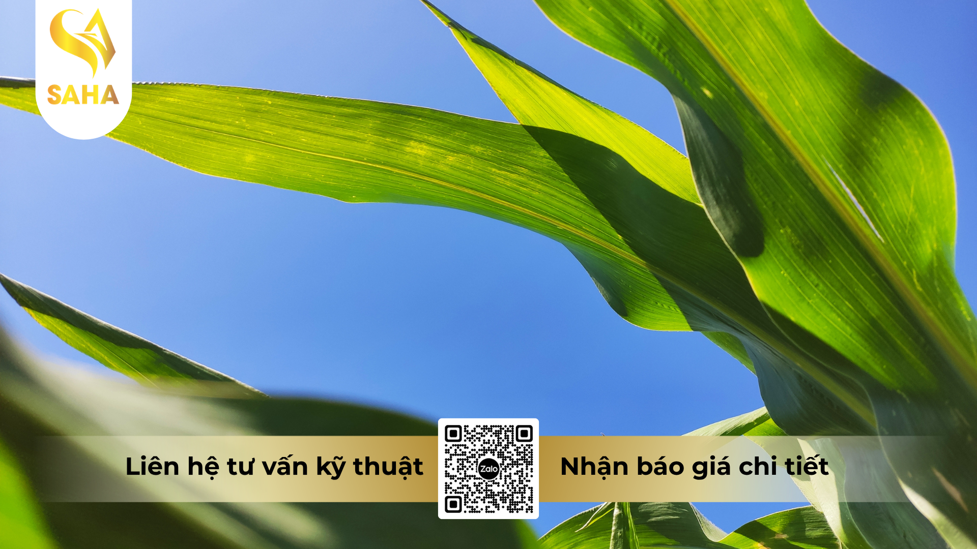 cau-hoi-thuong-gap-ve-thuoc-tru-co-antaco-gold-500ec.png