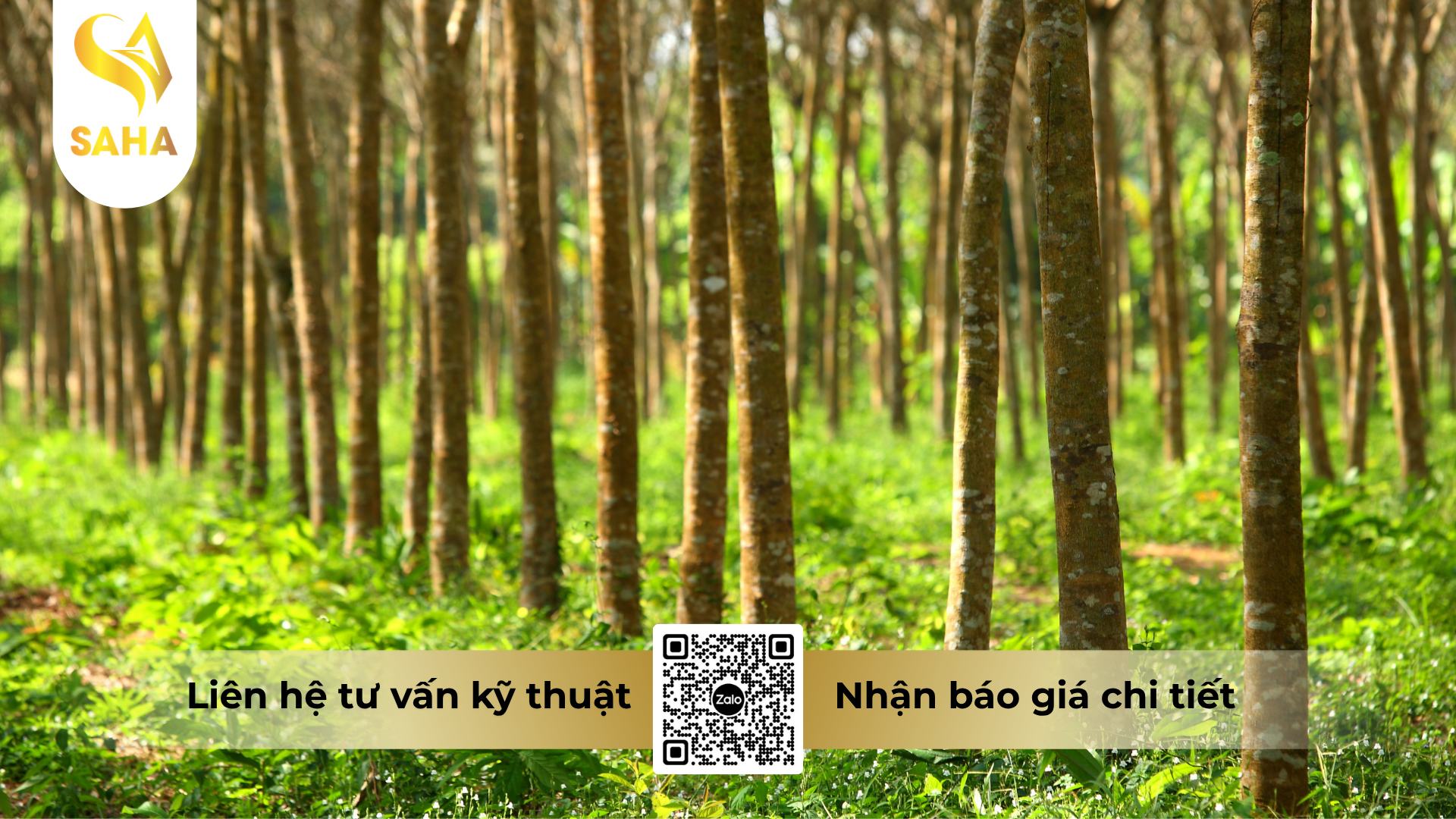 cau-hoi-thuong-gap-ve-thuoc-tru-co-faquatrio-20sl-hieu-geaxone-20sl.png