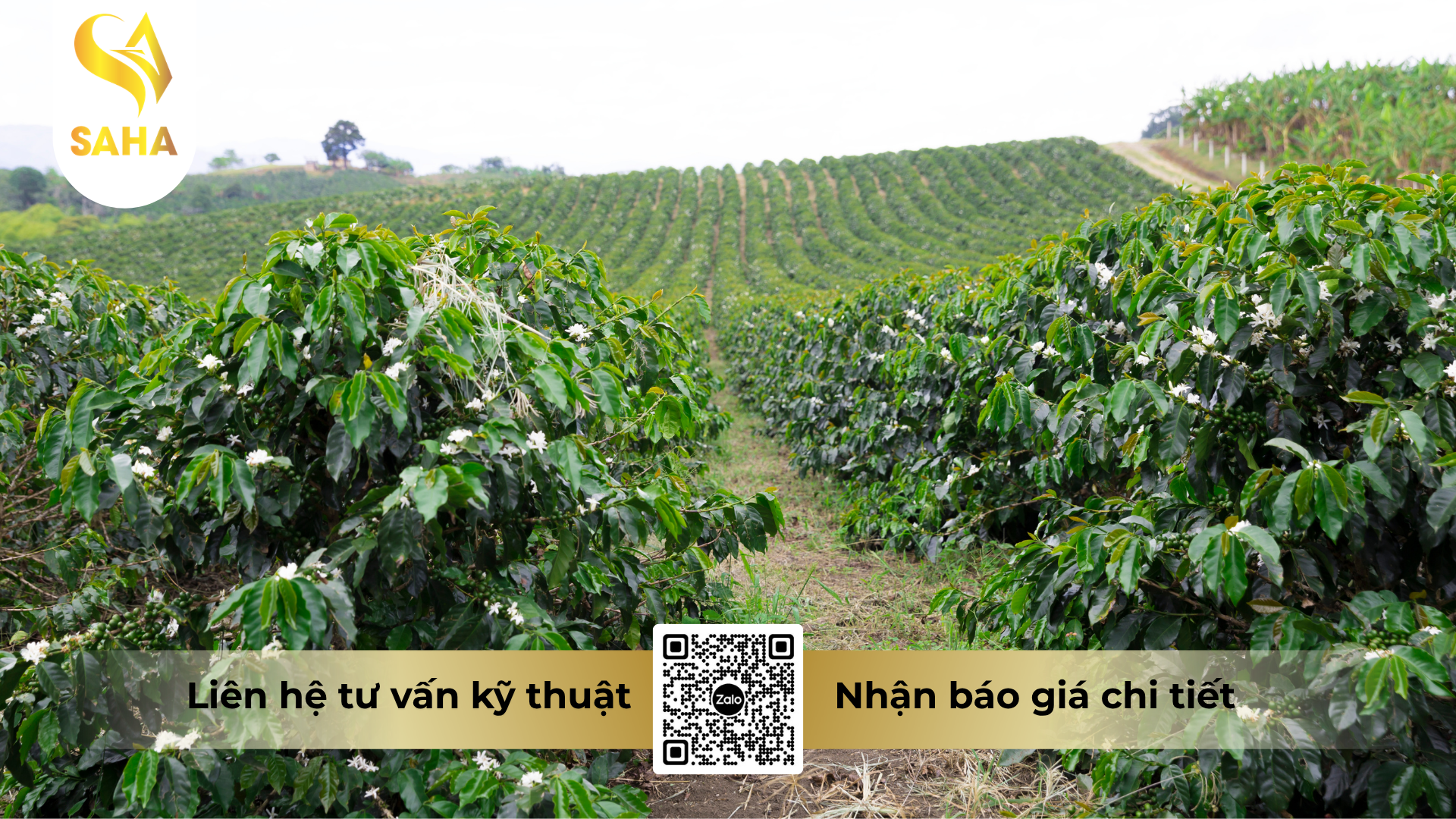 cau-hoi-thuong-gap-ve-thuoc-tru-co-glufocide-200sl-hieu-roundup-480.png