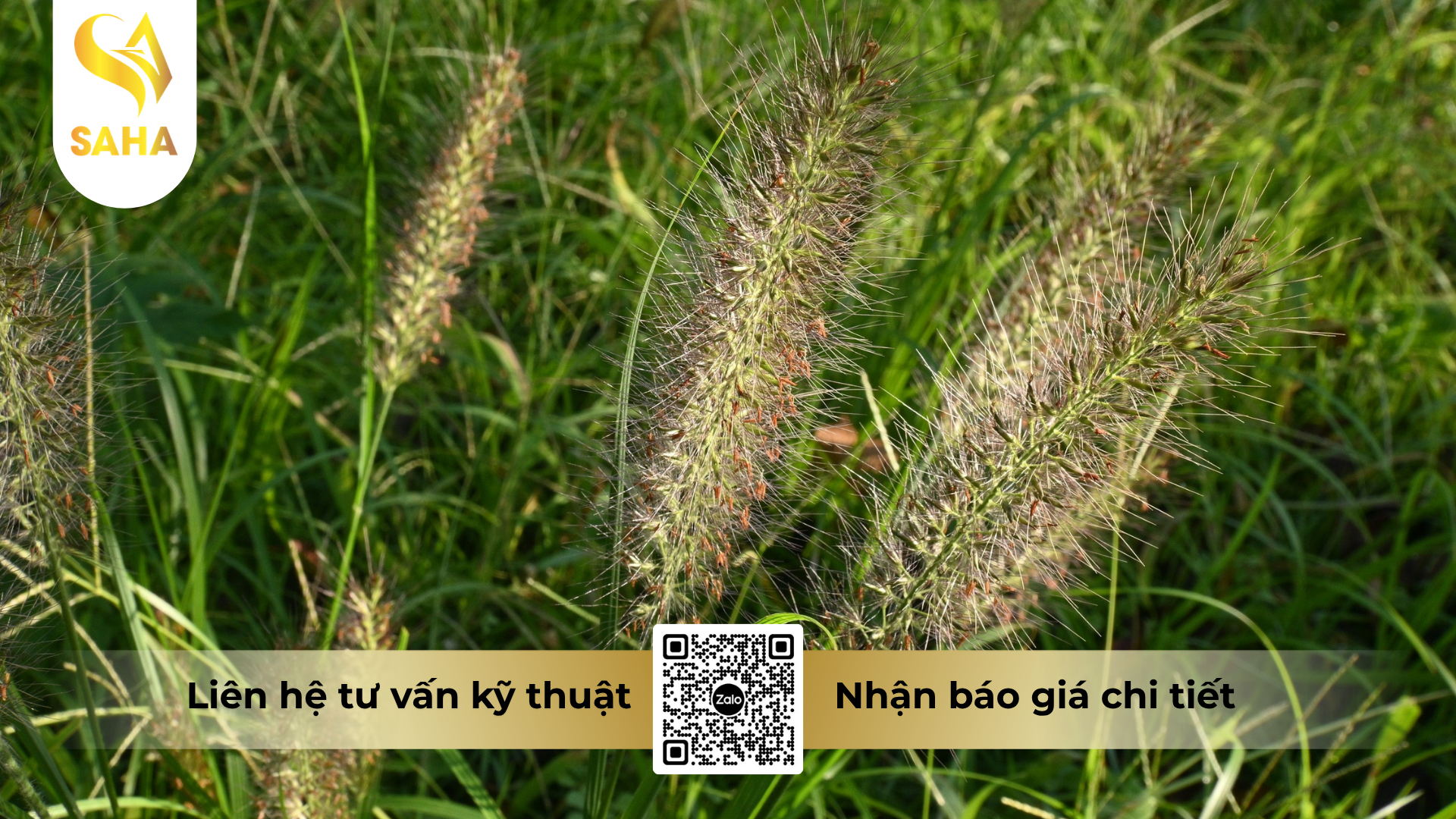 cong-dung-cua-thuoc-tru-co-glufocide-200sl-hieu-roundup-480.png