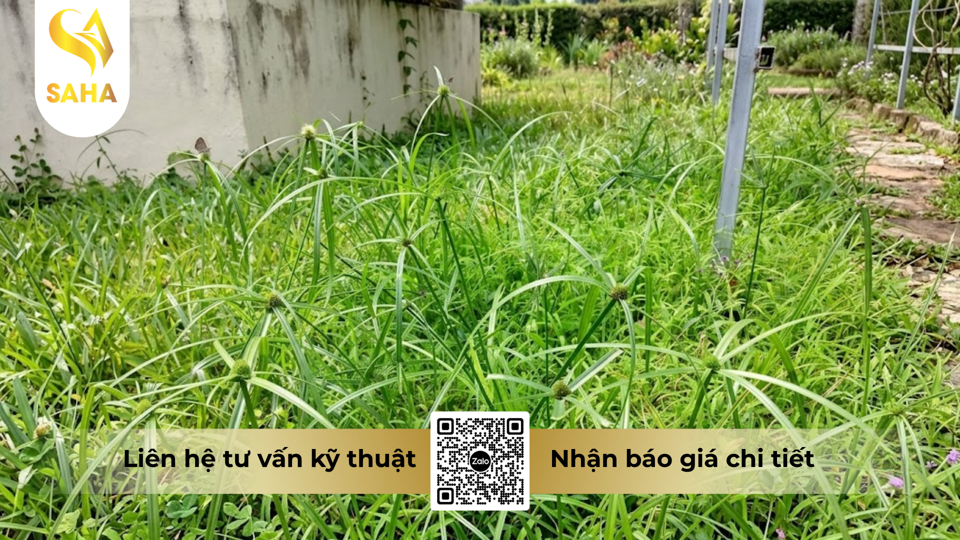 cong-dung-cua-thuoc-tru-co-glufocide-200sl-hieu-roundup-480-900ml.png